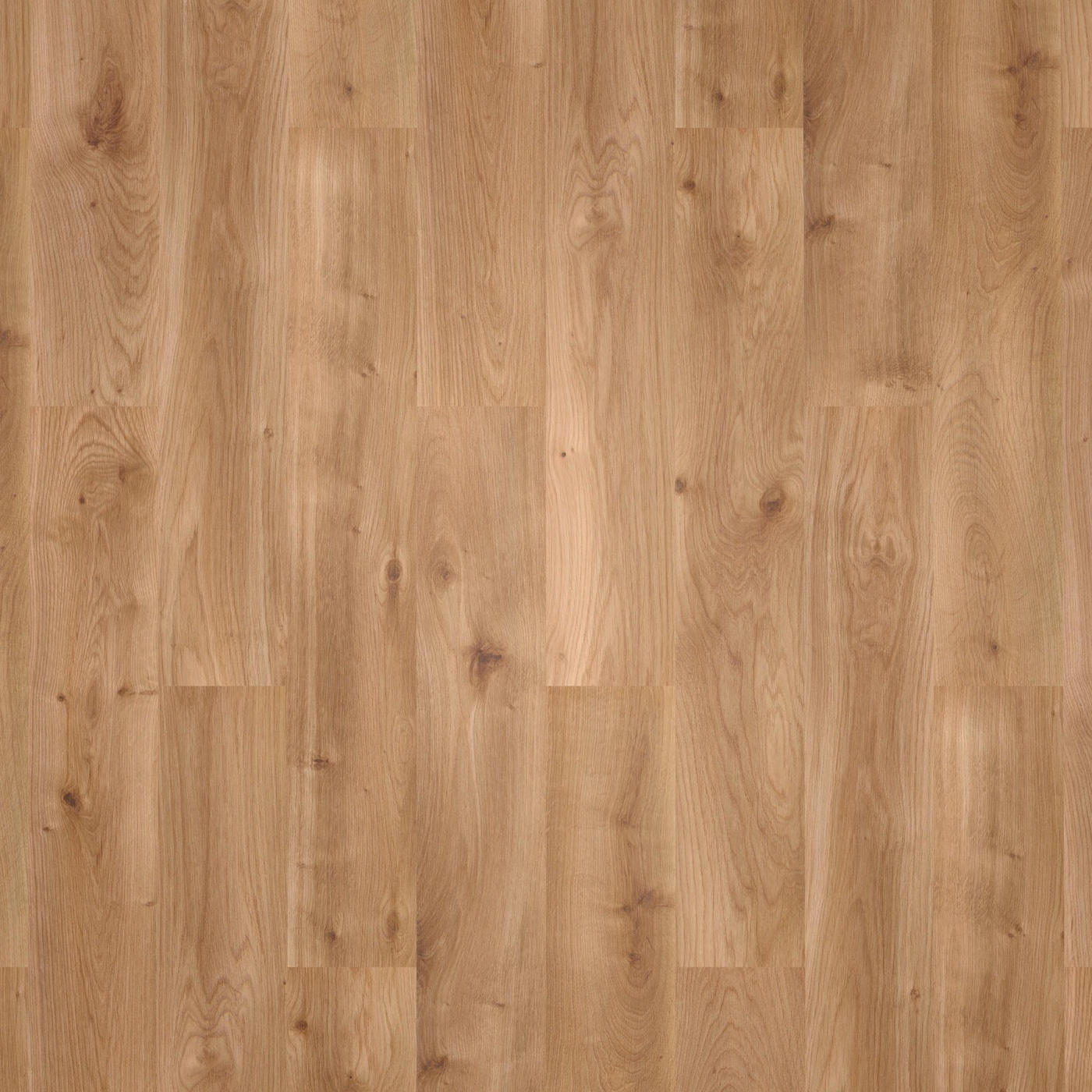 wineo Klebe-Bioboden wineo 1000 wood L Intensive Oak Caramel Exklusive Holzstruktur