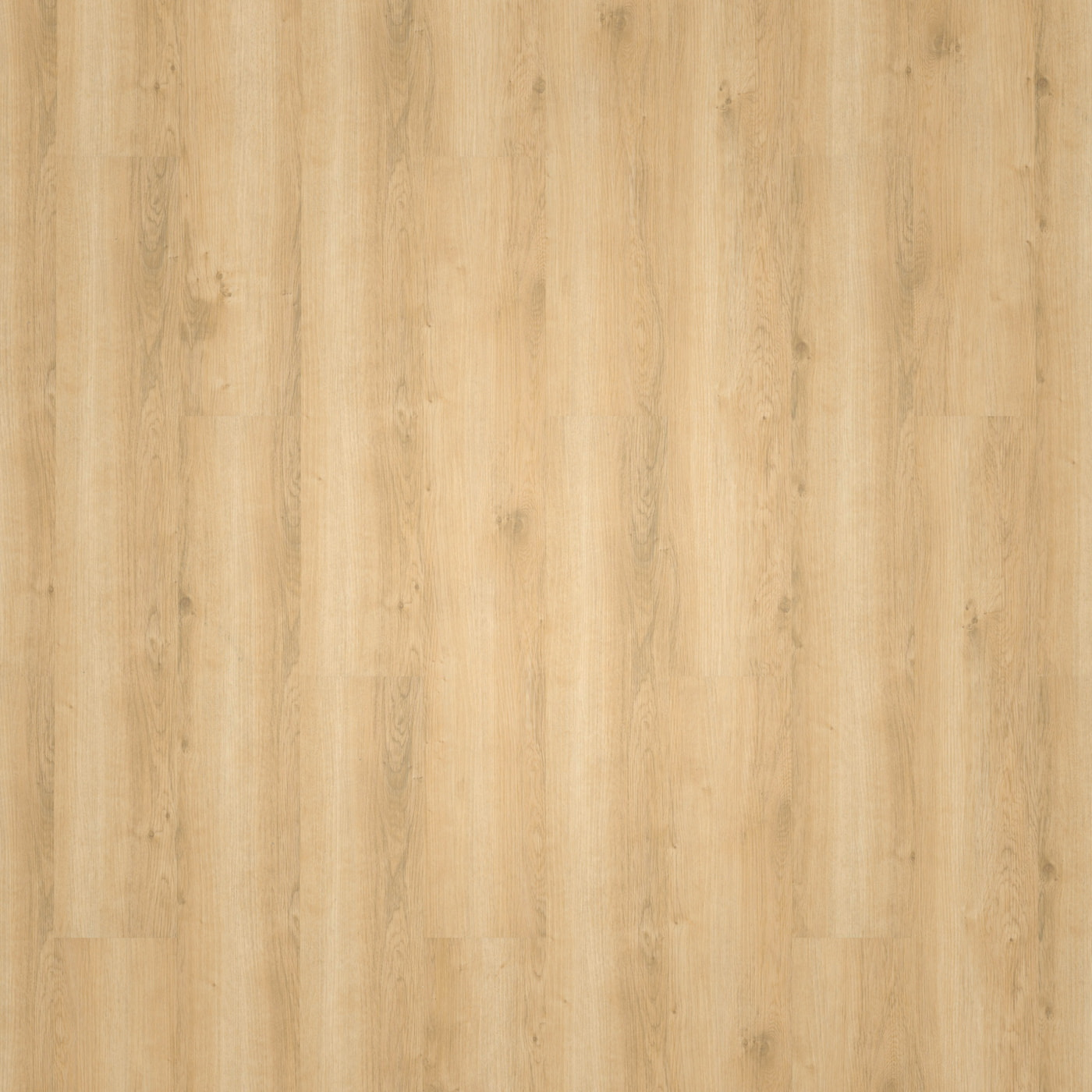 wineo Klick-Vinyl wineo 800 wood Wheat Golden Oak Exklusive Holzstruktur