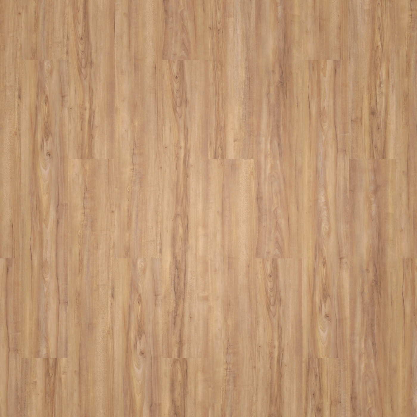 wineo Klick-Vinyl wineo 800 wood Honey Warm Maple Exklusive Holzstruktur