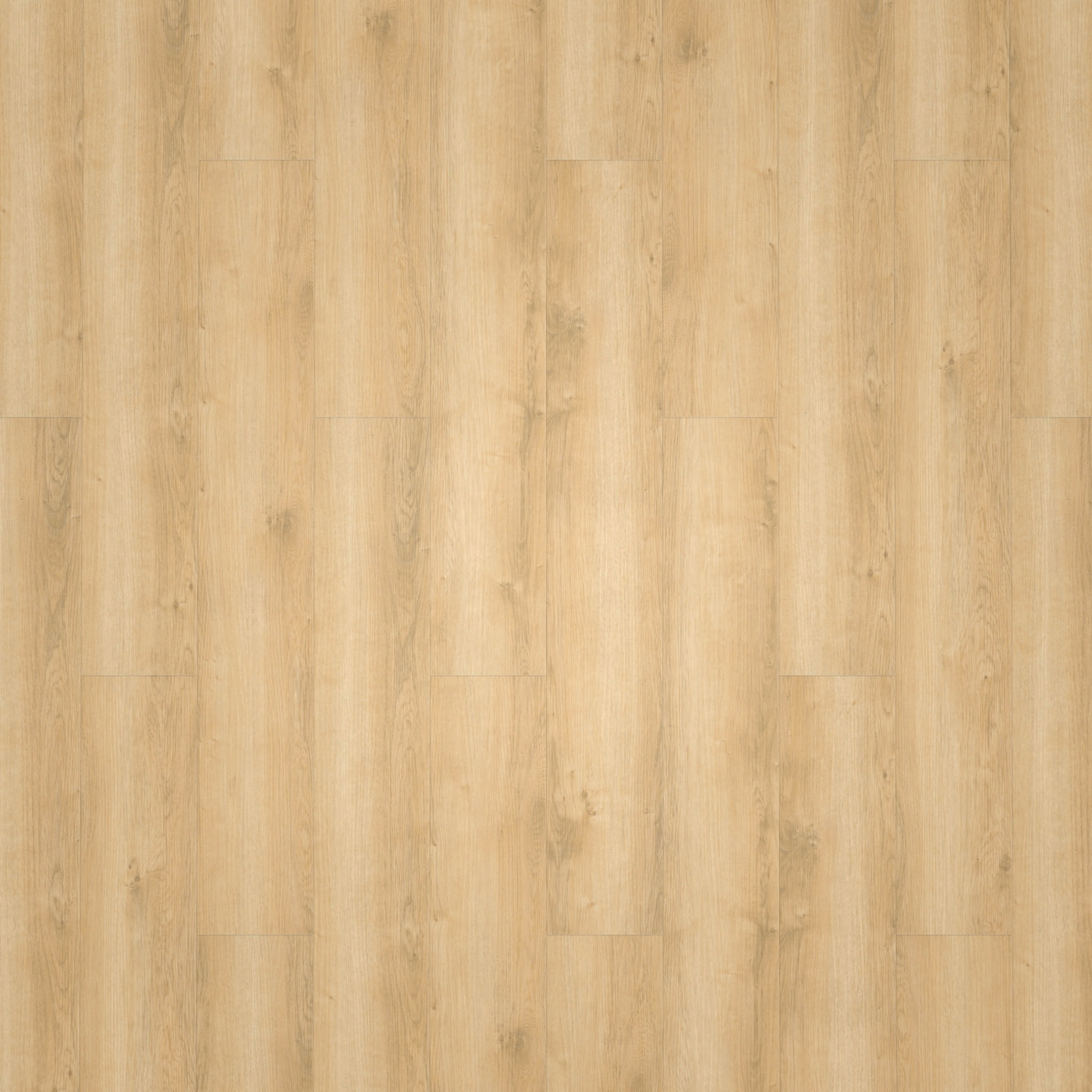 wineo Klebe-Vinyl wineo 800 wood Wheat Golden Oak Exklusive Holzstruktur