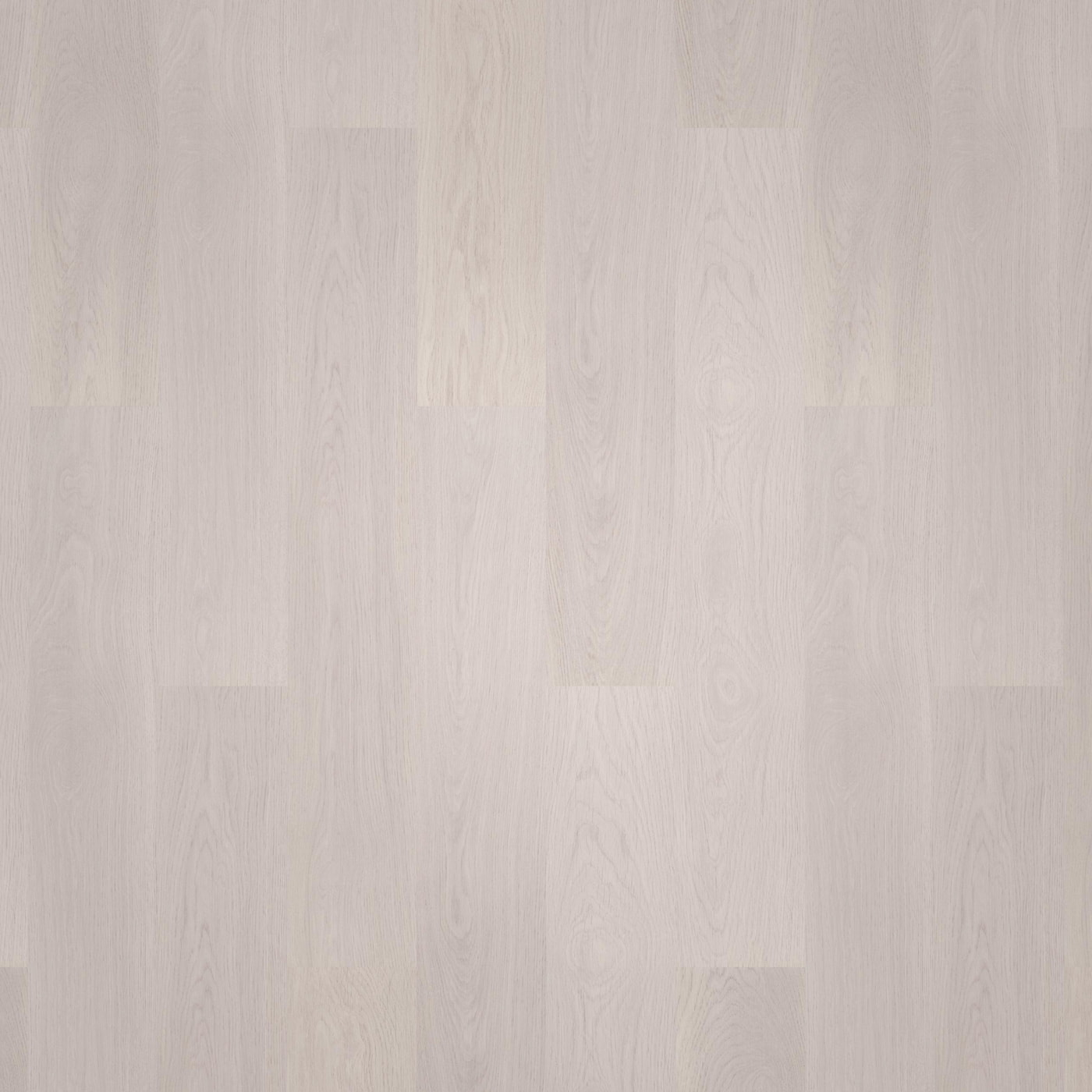 wineo Klick-Bioboden wineo 1000 wood L Soft Oak Silver Exklusive Holzstruktur