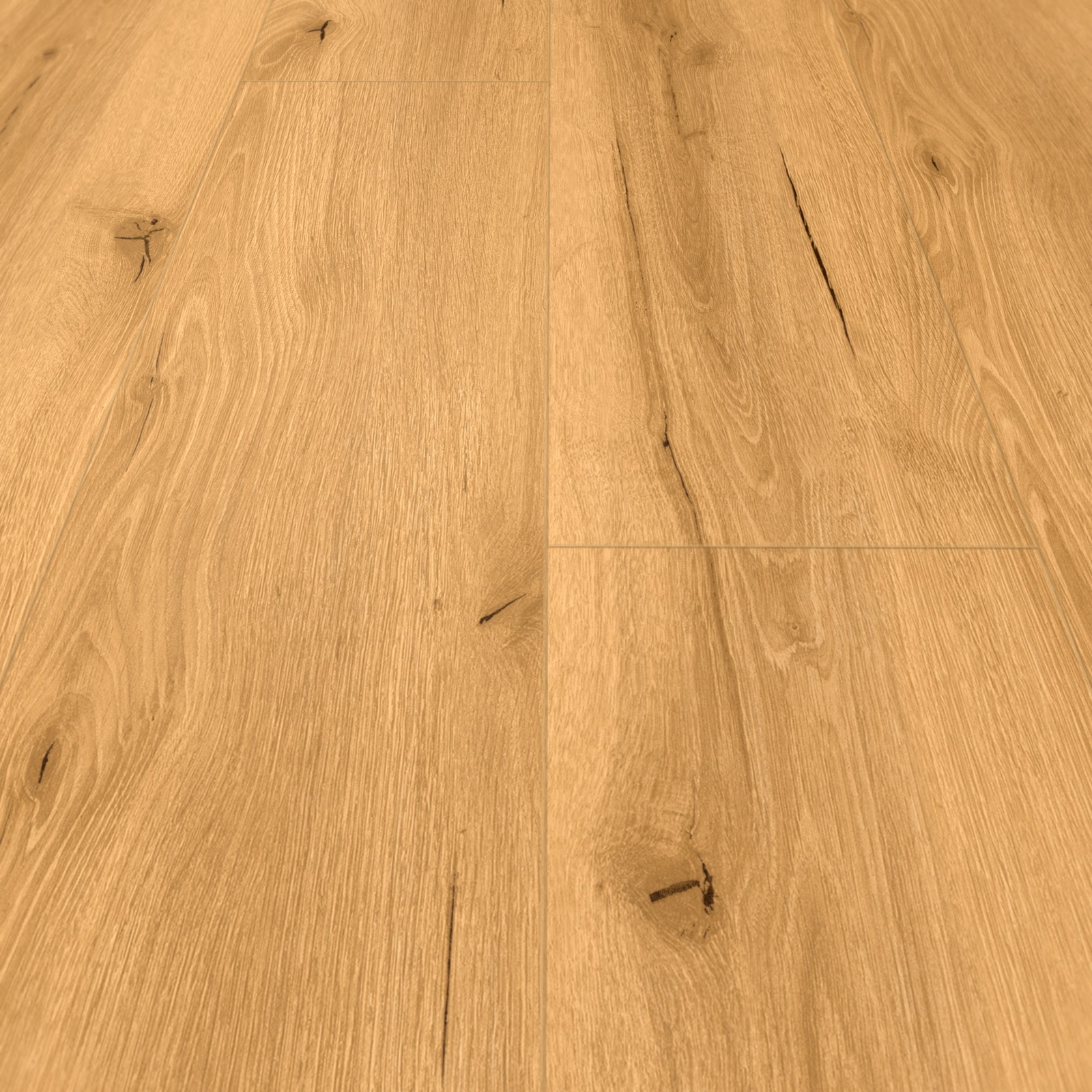 Detail Ansicht - MEISTER 400048-1226186-20193