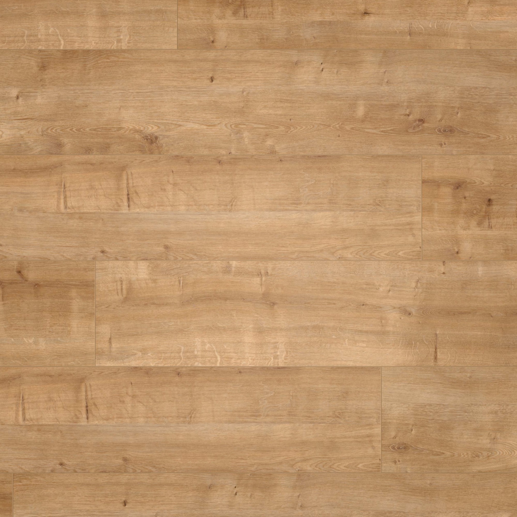 Draufsicht - wineo HDF Klick-Bioboden PURLINE wineo 1200 wood XXL Hello Martha Draufsicht - wineo MLP076R