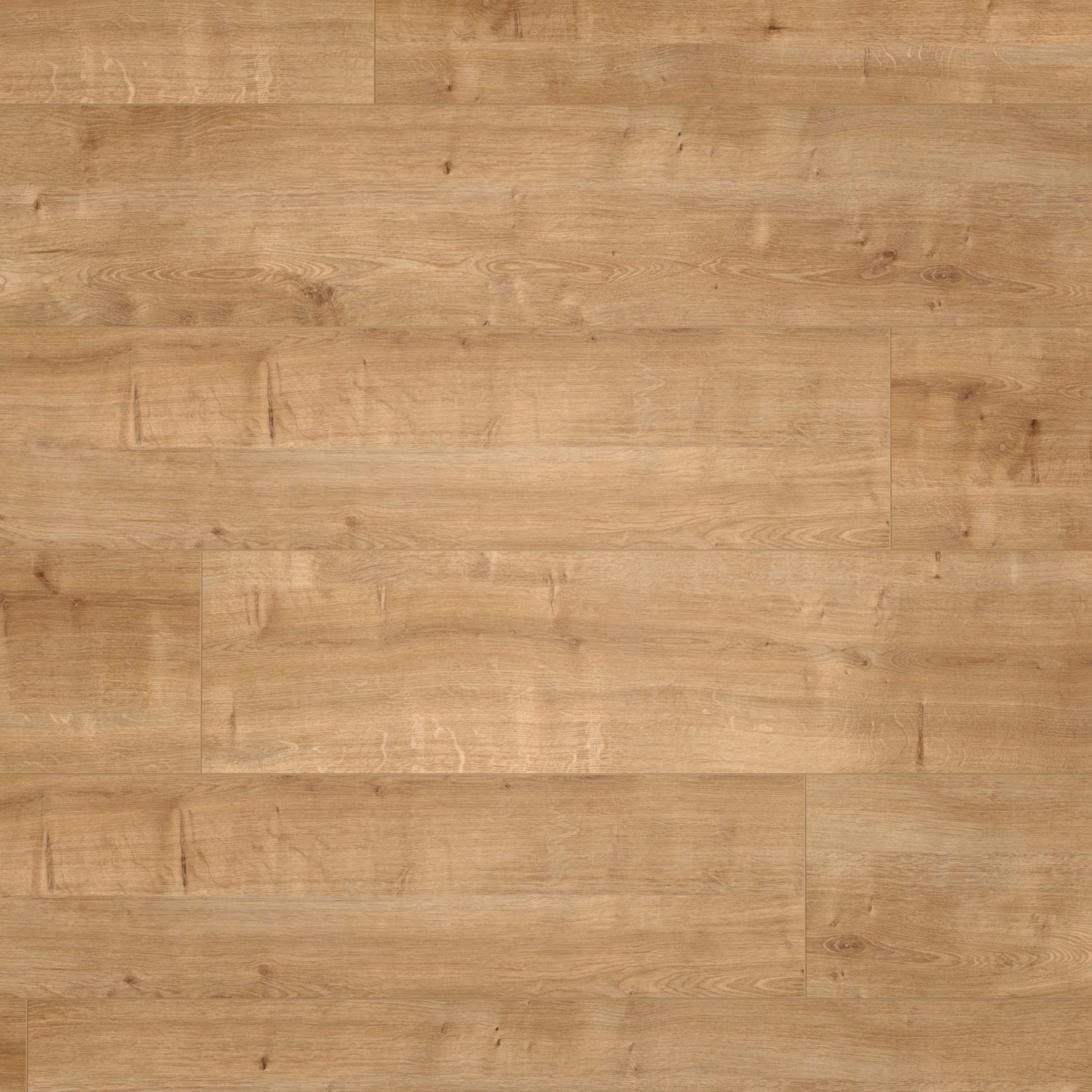 Draufsicht - wineo HDF Klick-Bioboden PURLINE wineo 1200 wood XXL Hello Martha Draufsicht - wineo MLP076R
