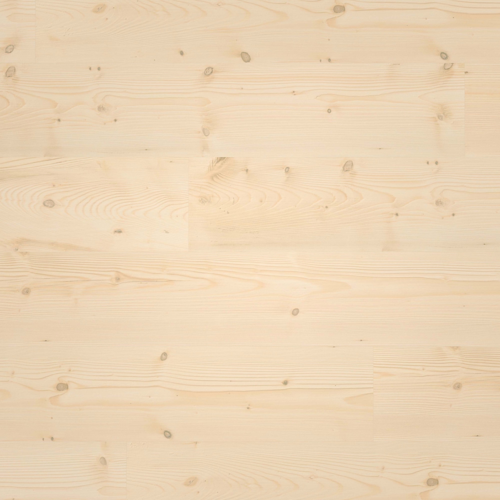 Draufsicht - wineo Klebe-Bioboden PURLINE wineo 1000 wood L Natural Pine Beach Draufsicht - wineo PL297R