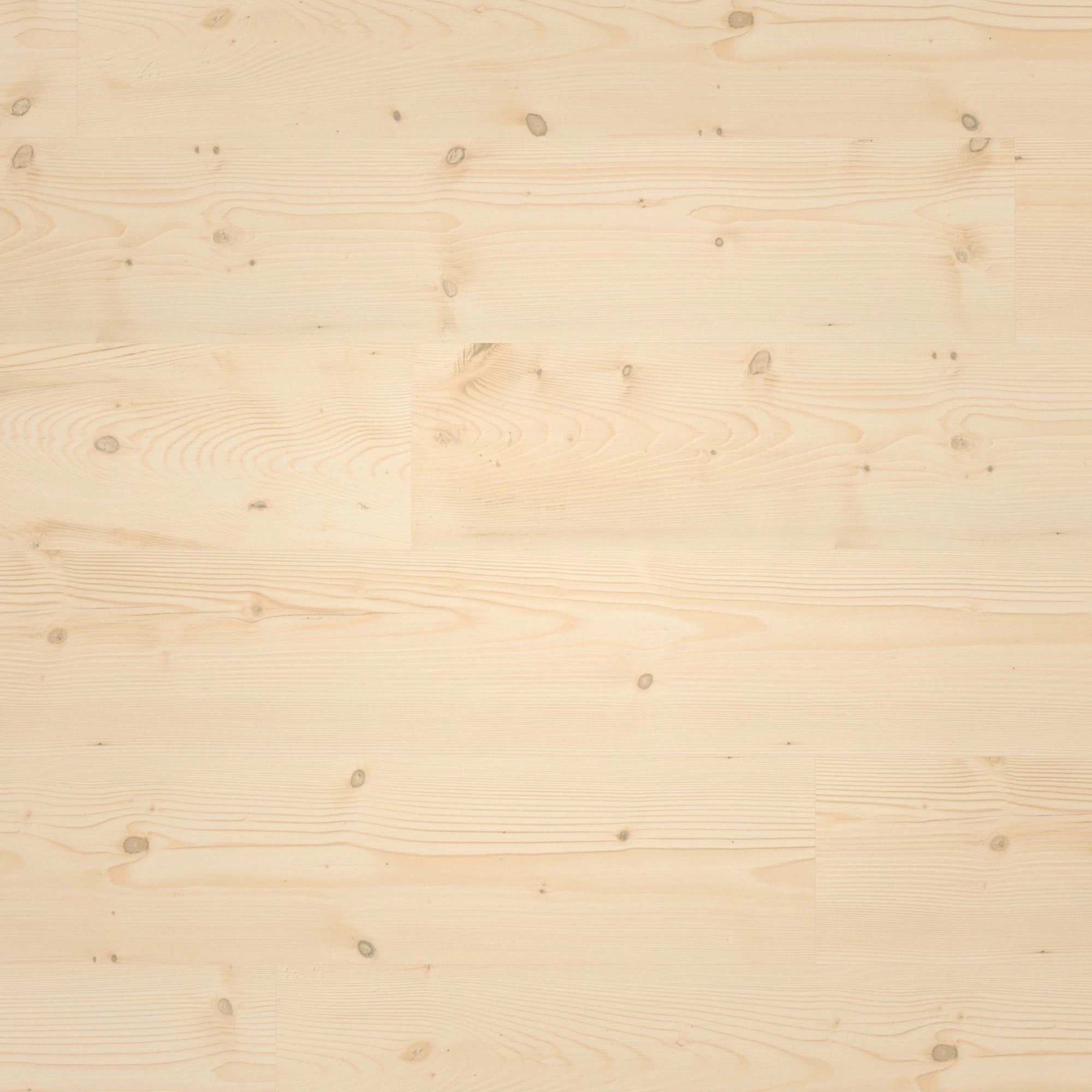 Draufsicht - wineo Klebe-Bioboden PURLINE wineo 1000 wood L Natural Pine Beach Draufsicht - wineo PL297R
