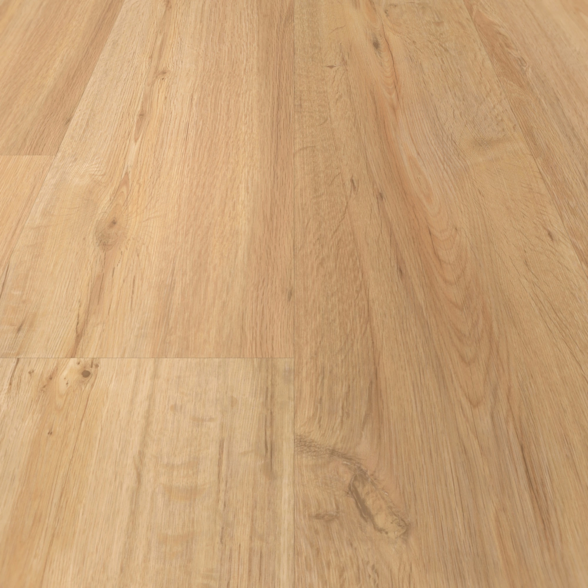 Detail Ansicht - Parador HDF Klick-Vinyl Basic 30 Eiche natur Detail Ansicht - Parador 1649299