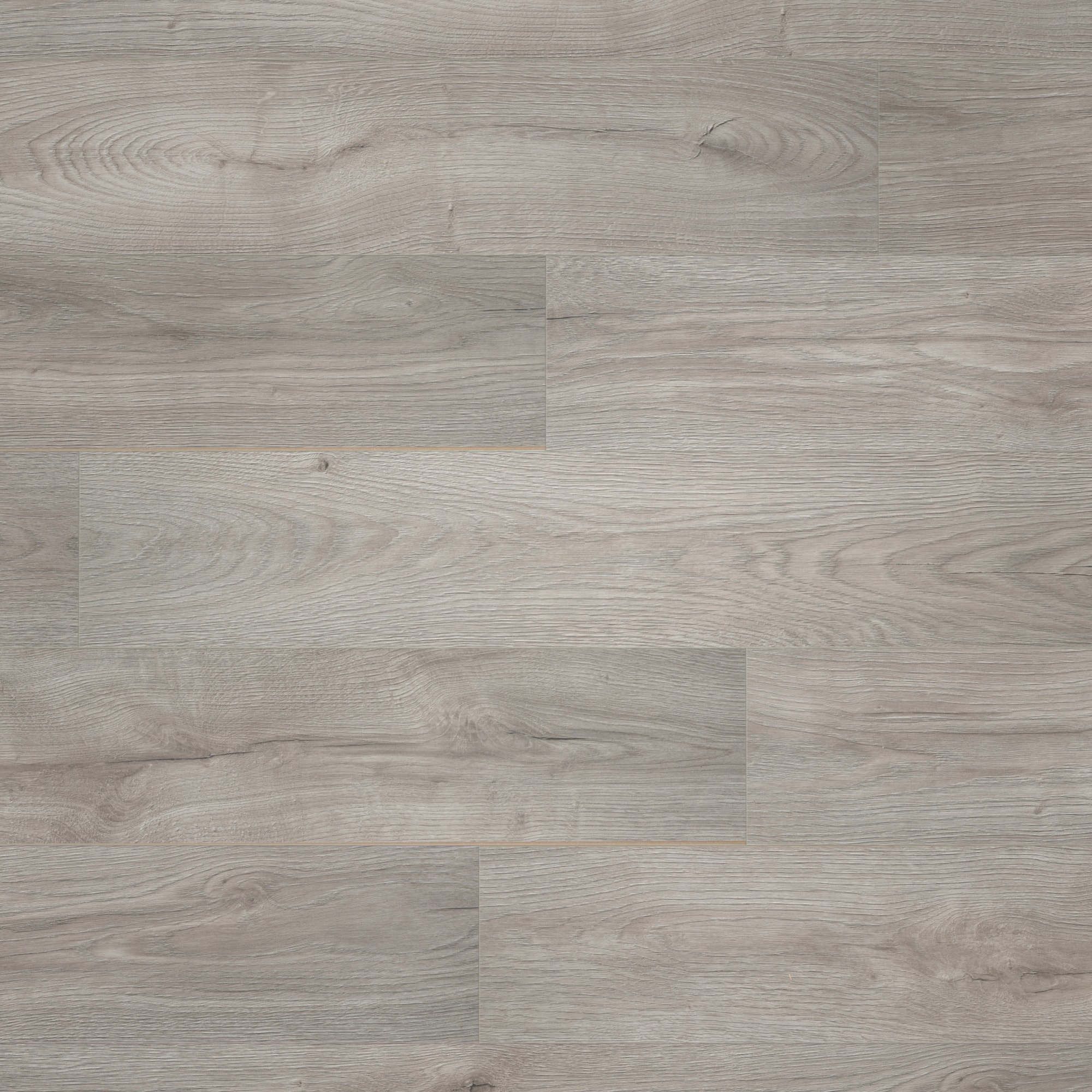 Draufsicht - BerryAlloc Laminat Ocean 8 V4 Epic Grey Draufsicht - BerryAlloc 62003066
