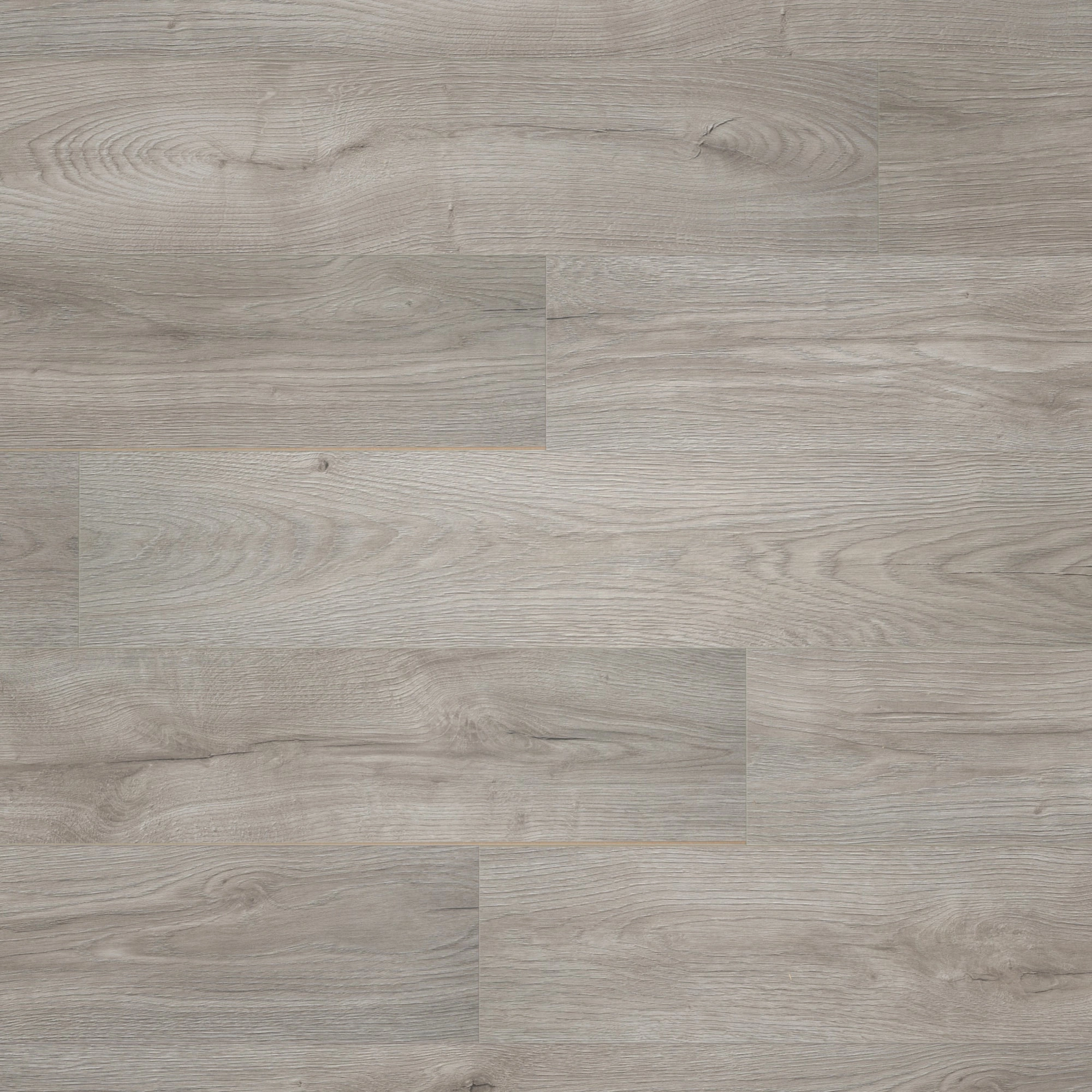 Draufsicht - BerryAlloc Laminat Ocean 8 V4 Epic Grey Draufsicht - BerryAlloc 62003066