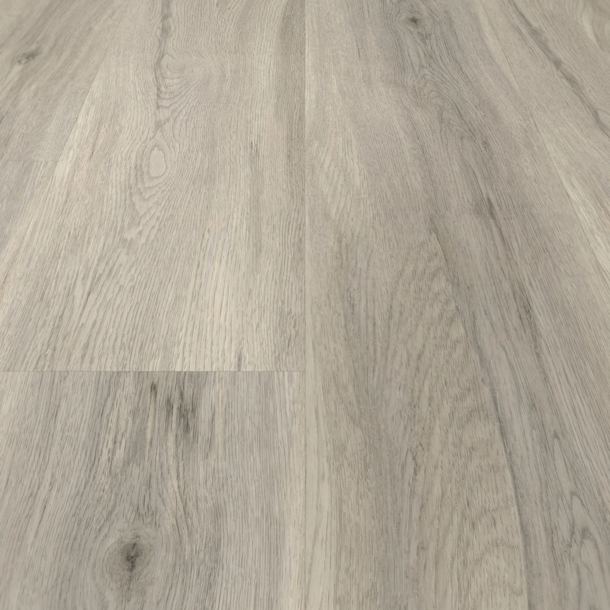 Detail Ansicht - Parador HDF Klick-Vinyl Basic 30 Eiche pastellgrau Detail Ansicht - Parador 1513441