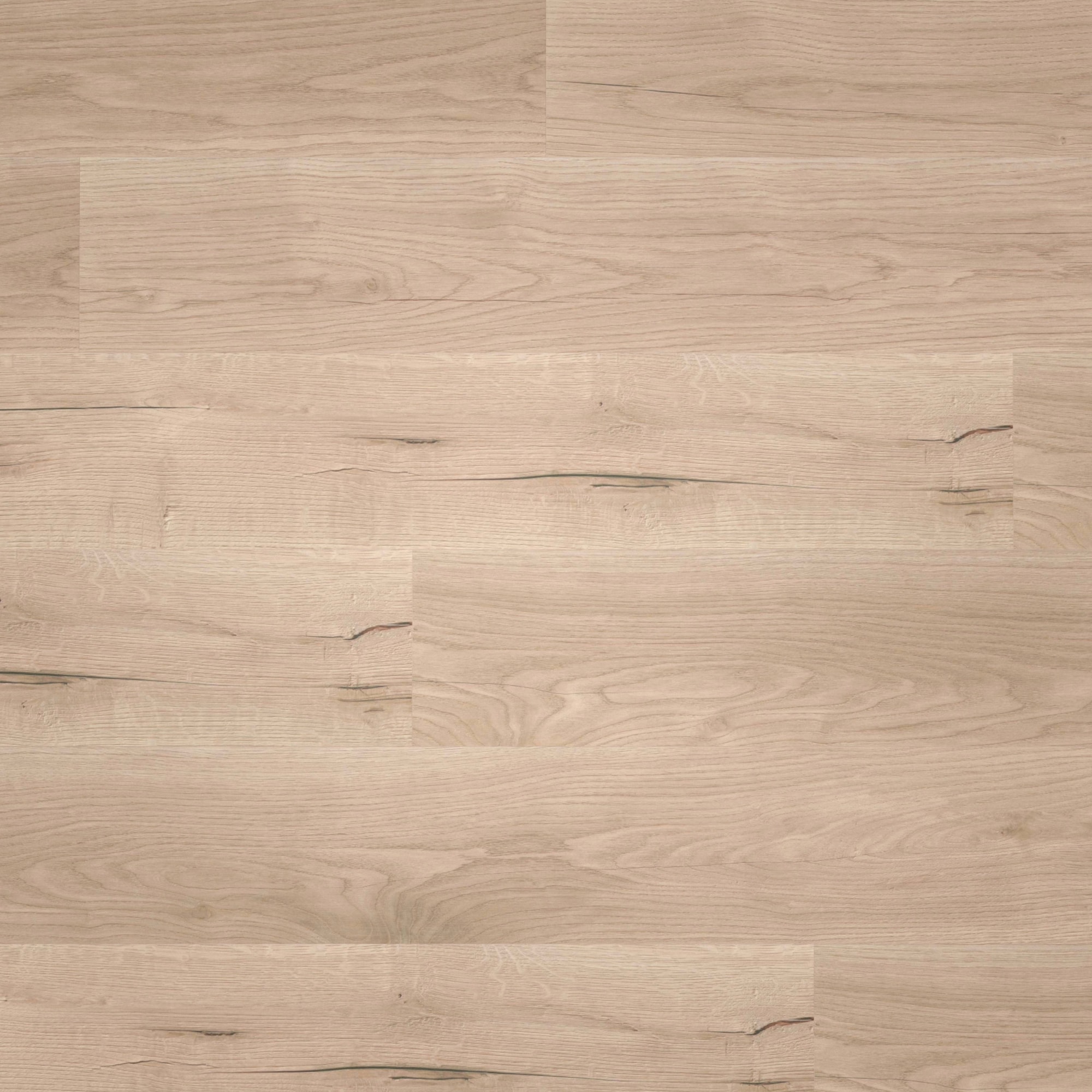 Draufsicht - wineo HDF Klick-Bioboden PURLINE wineo 1000 wood L Comfort Oak Sand Draufsicht - wineo MLP298R