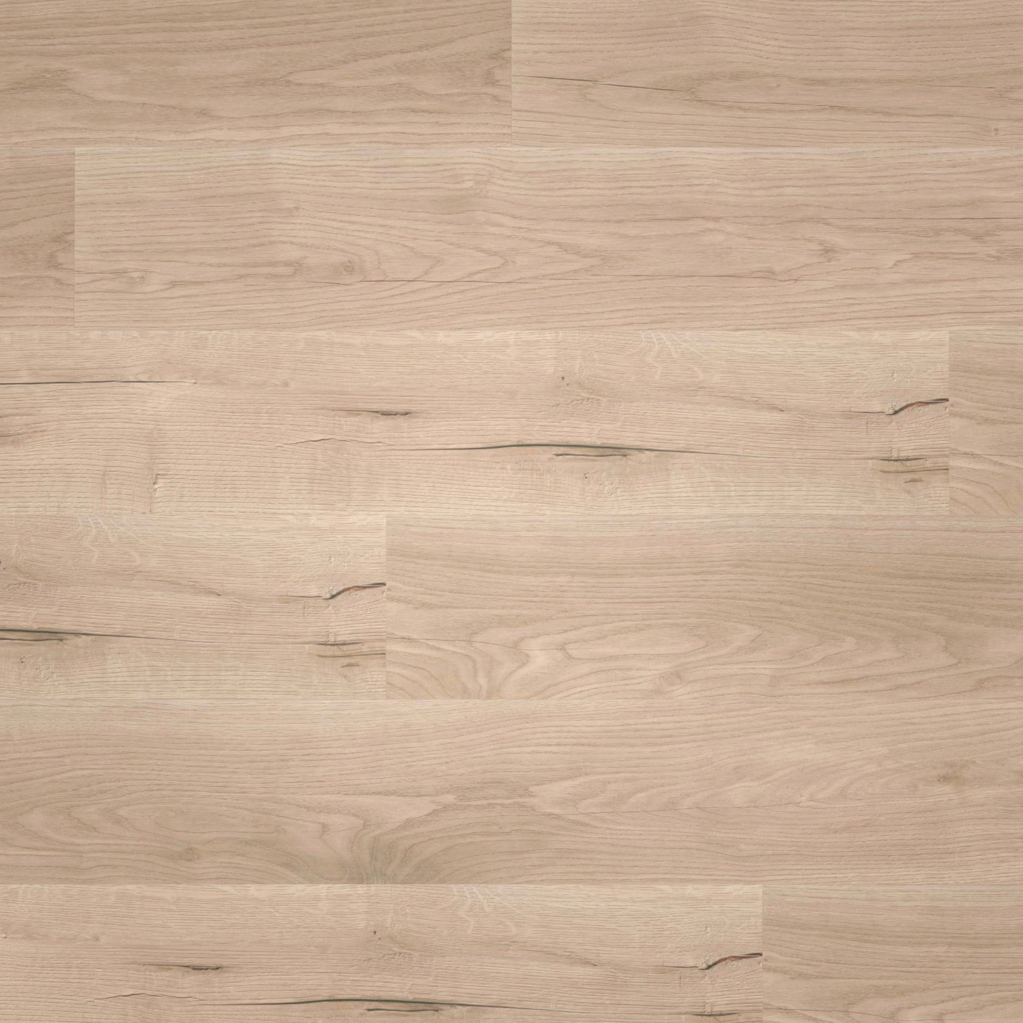 Draufsicht - wineo HDF Klick-Bioboden PURLINE wineo 1000 wood L Comfort Oak Sand Draufsicht - wineo MLP298R