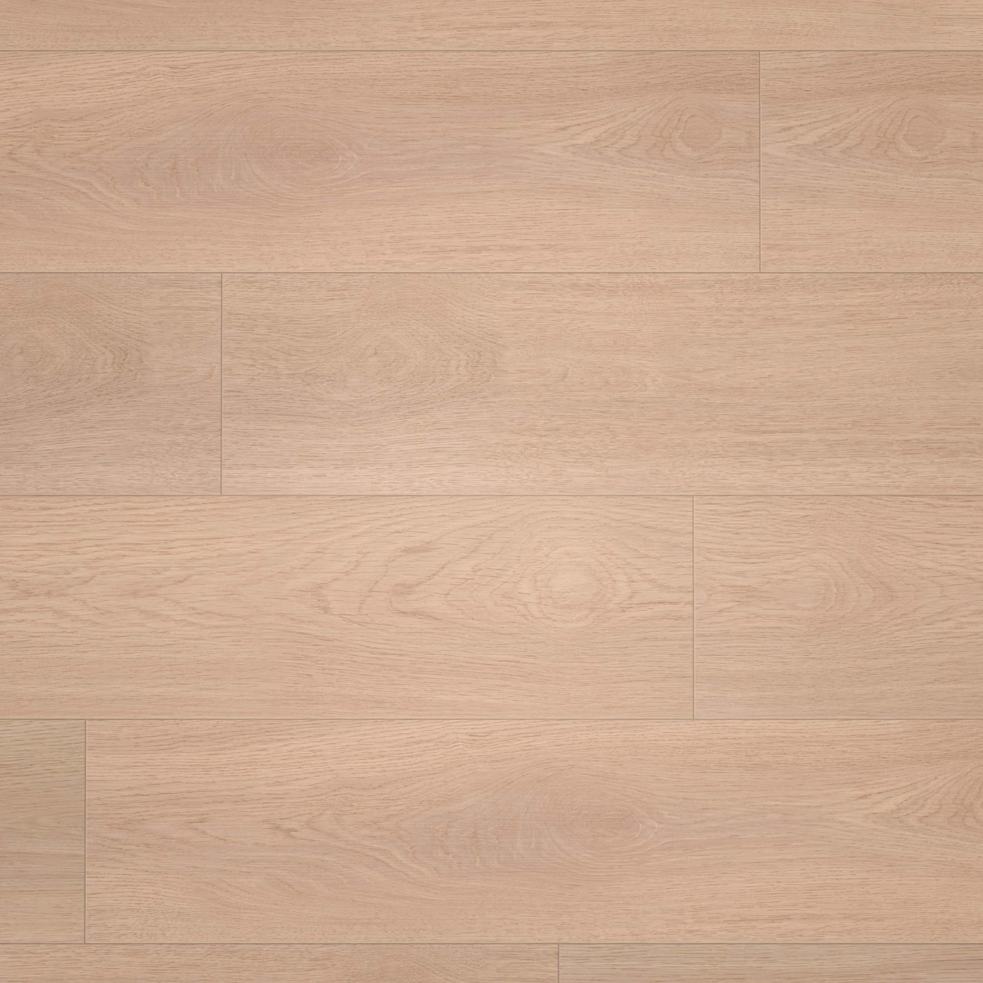 Draufsicht - wineo Klick-Bioboden PURLINE wineo 1000 wood XL Calm Oak Shell Draufsicht - wineo PLC306R