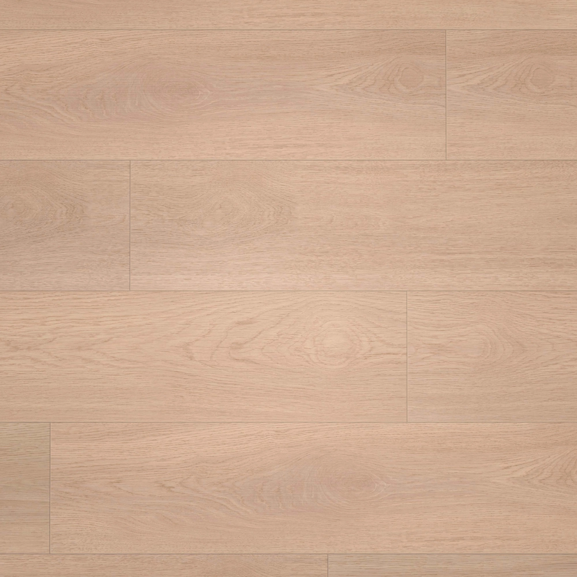 Draufsicht - wineo Klick-Bioboden PURLINE wineo 1000 wood XL Calm Oak Shell Draufsicht - wineo PLC306R