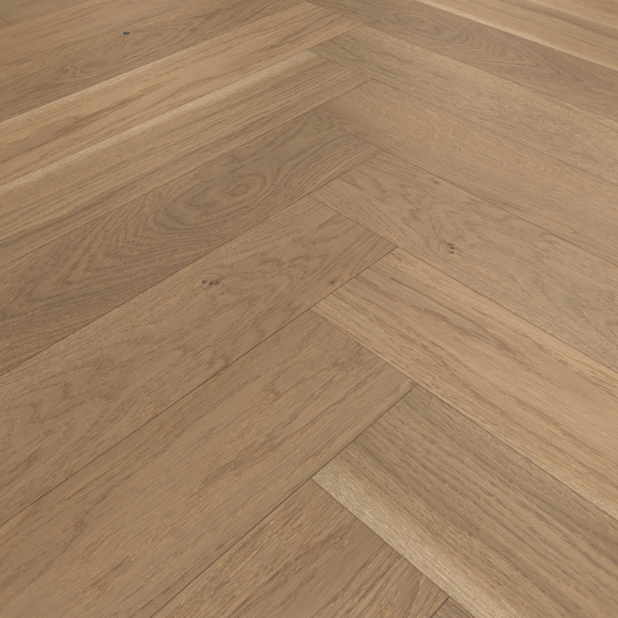 Detail Ansicht - Parador Parkett Trendtime 3 Eiche nougat Detail Ansicht - Parador 1739933