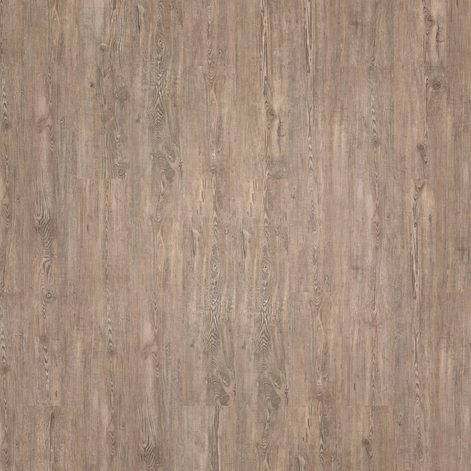 Wicanders HDF Klick-Designboden wood Go Highland Pine Holzstruktur