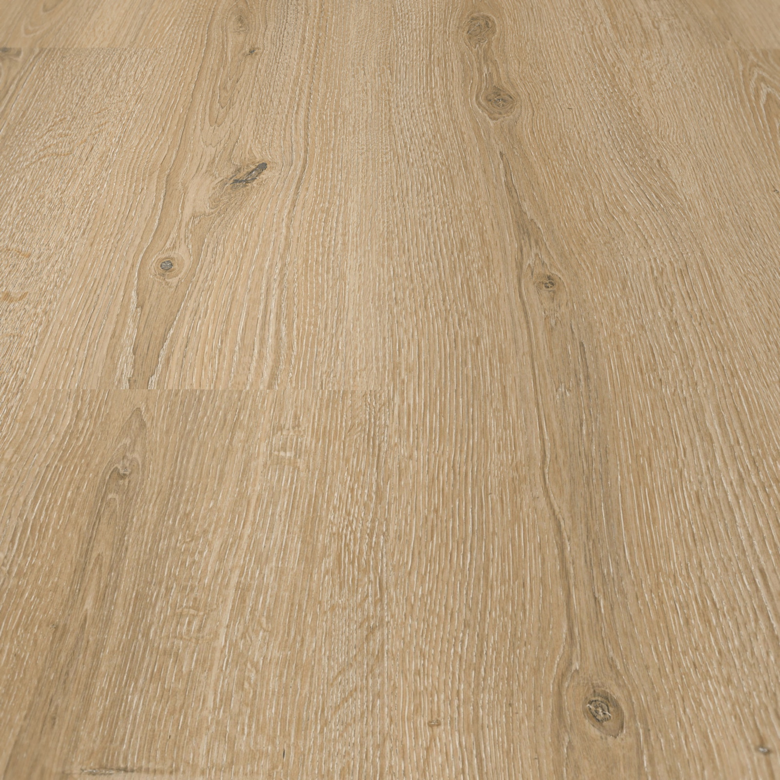 Detail Ansicht - MEISTER 600014-1288198-07141