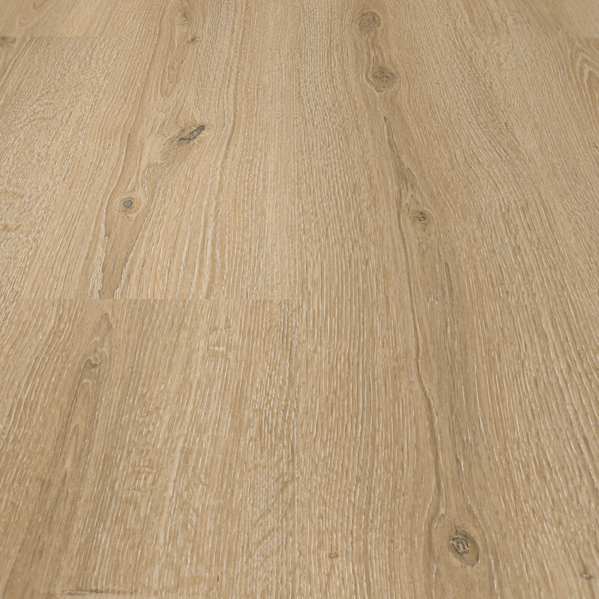 Detail Ansicht - MEISTER 600014-1288198-07141