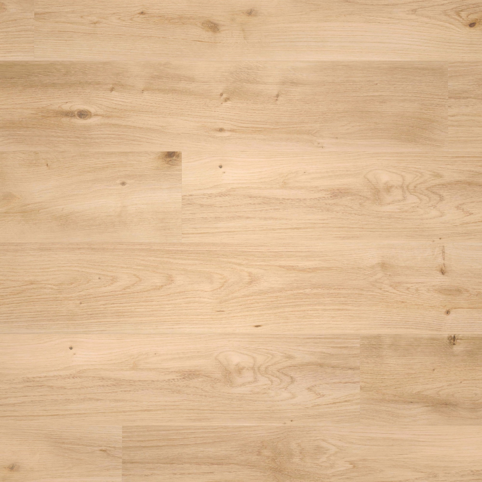 Draufsicht - wineo Klebe-Bioboden PURLINE wineo 1000 wood L Intensive Oak Honey Draufsicht - wineo PL299R