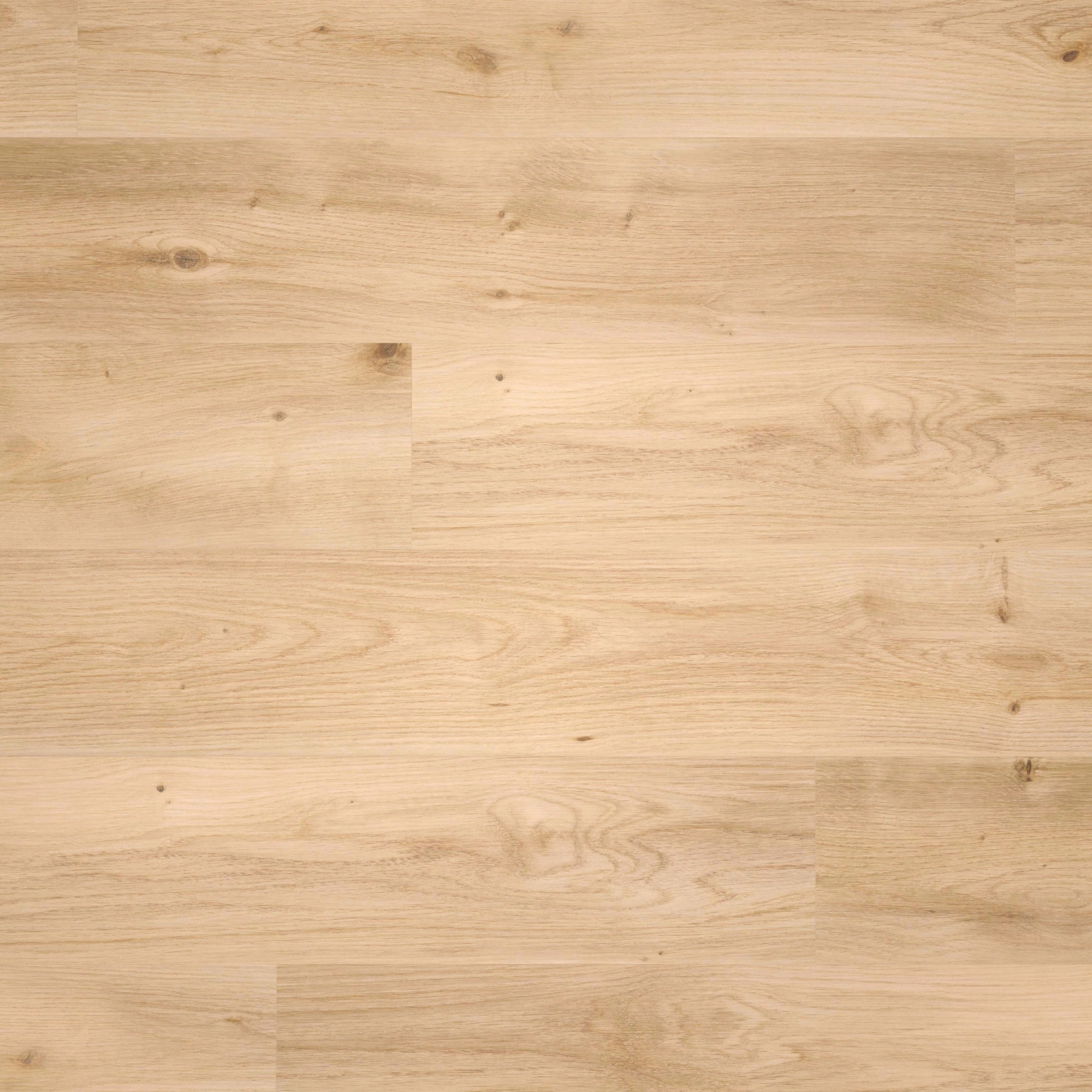 Draufsicht - wineo Klebe-Bioboden PURLINE wineo 1000 wood L Intensive Oak Honey Draufsicht - wineo PL299R