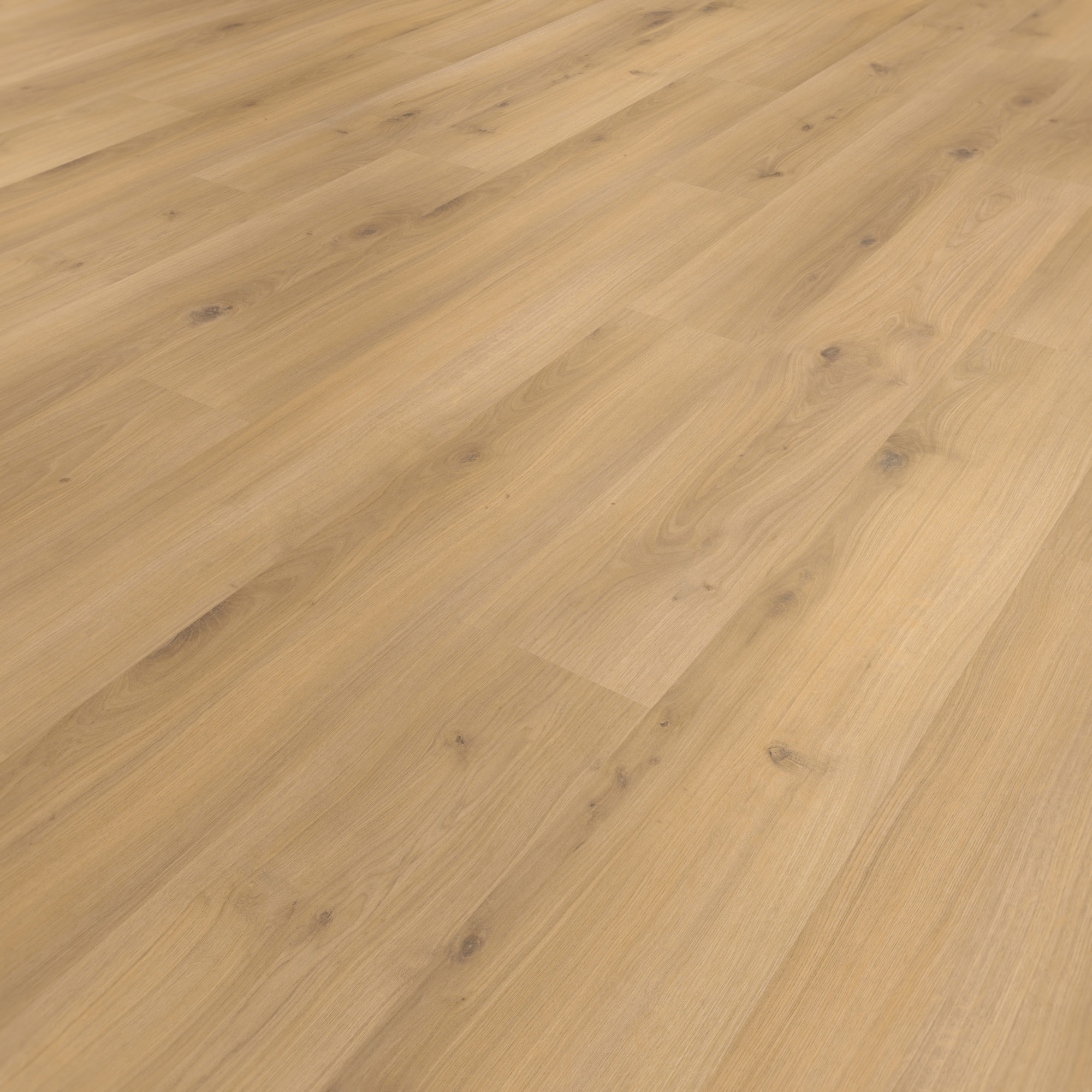 Parador Laminat Basic 400 Eiche Horizont Natur Seidenmatte Struktur 0V Parador Laminat Basic 400 Eiche Horizont Natur Seidenmatte Struktur 0V