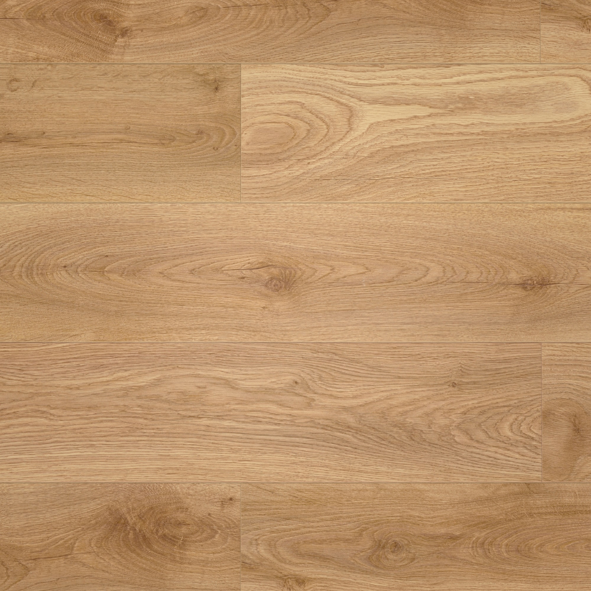 Draufsicht - Meister Laminat LD 150 Eiche Woodend Draufsicht - Meister 600017-1288198-07014