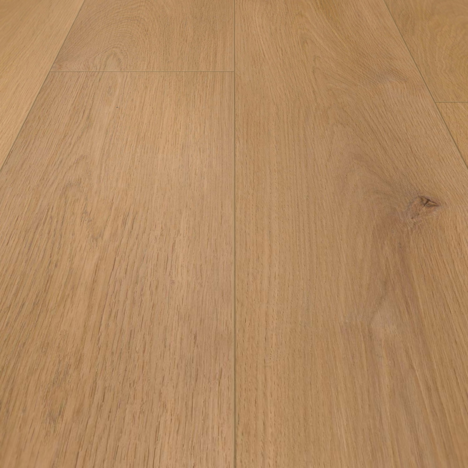 Detail Ansicht - wineo MLP311R