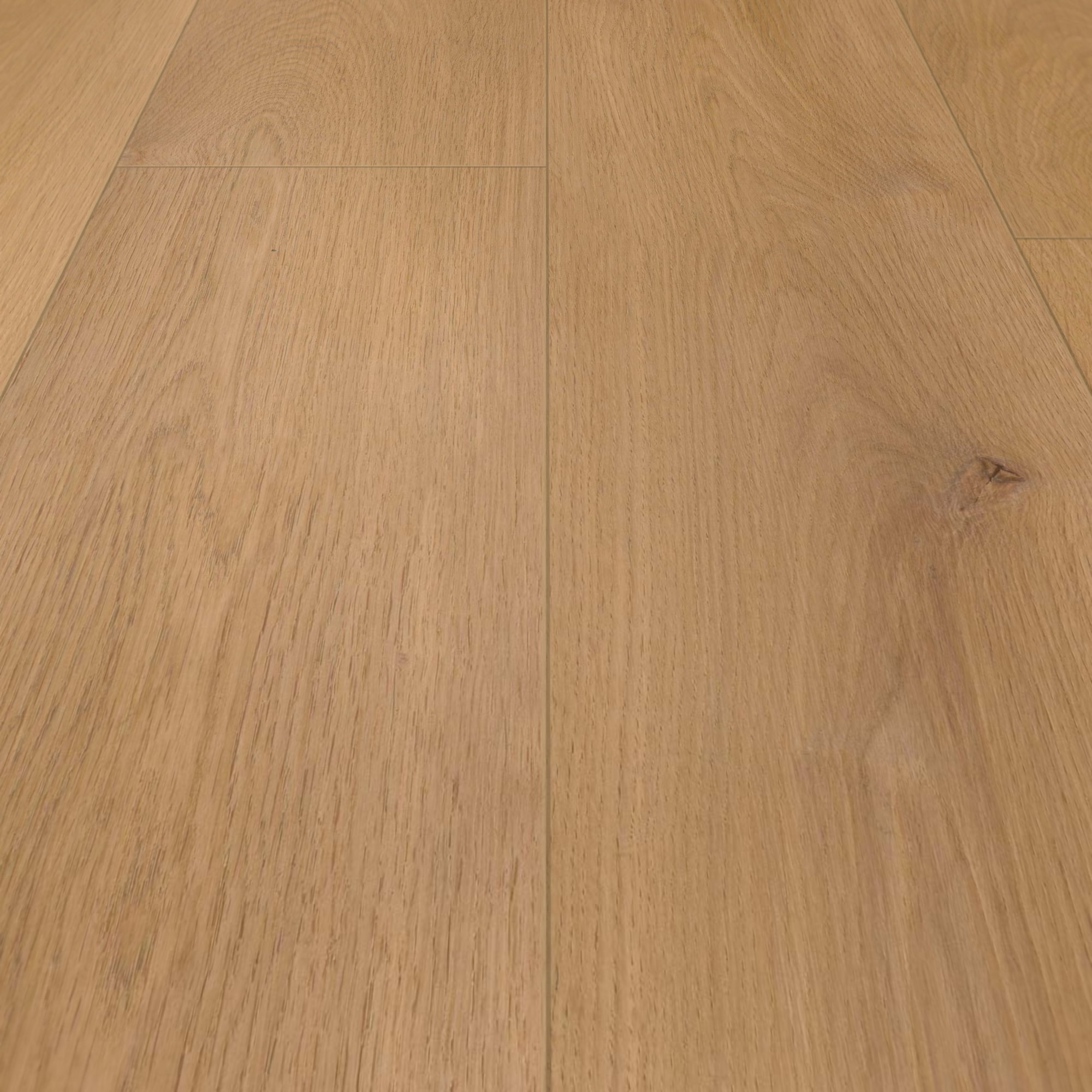 Detail Ansicht - wineo HDF Klick-Bioboden PURLINE wineo 1000 wood XL Noble Oak Toffee Detail Ansicht - wineo MLP311R