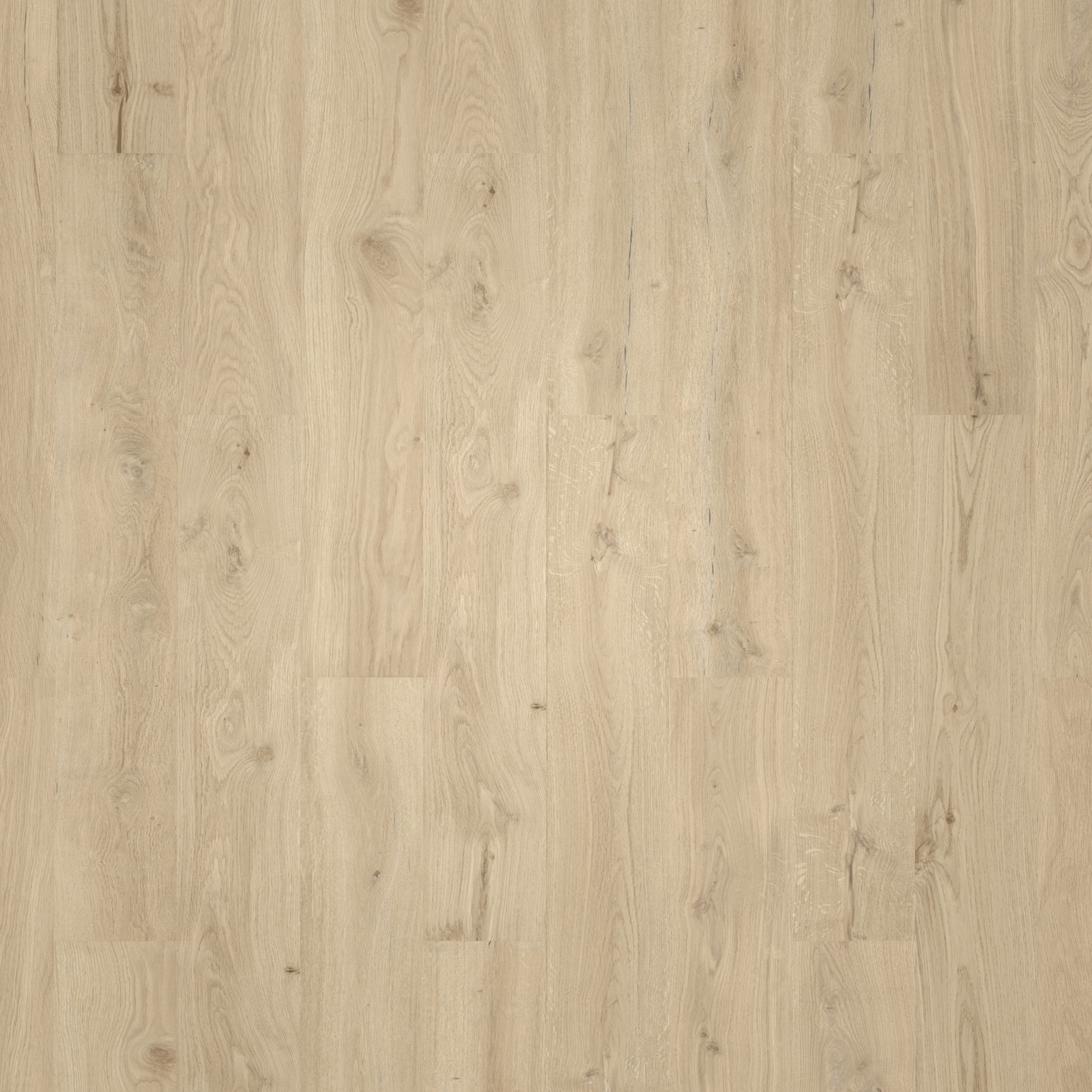 Wicanders HDF Klick-Designboden wood Go Dakota Oak Sand Holzstruktur
