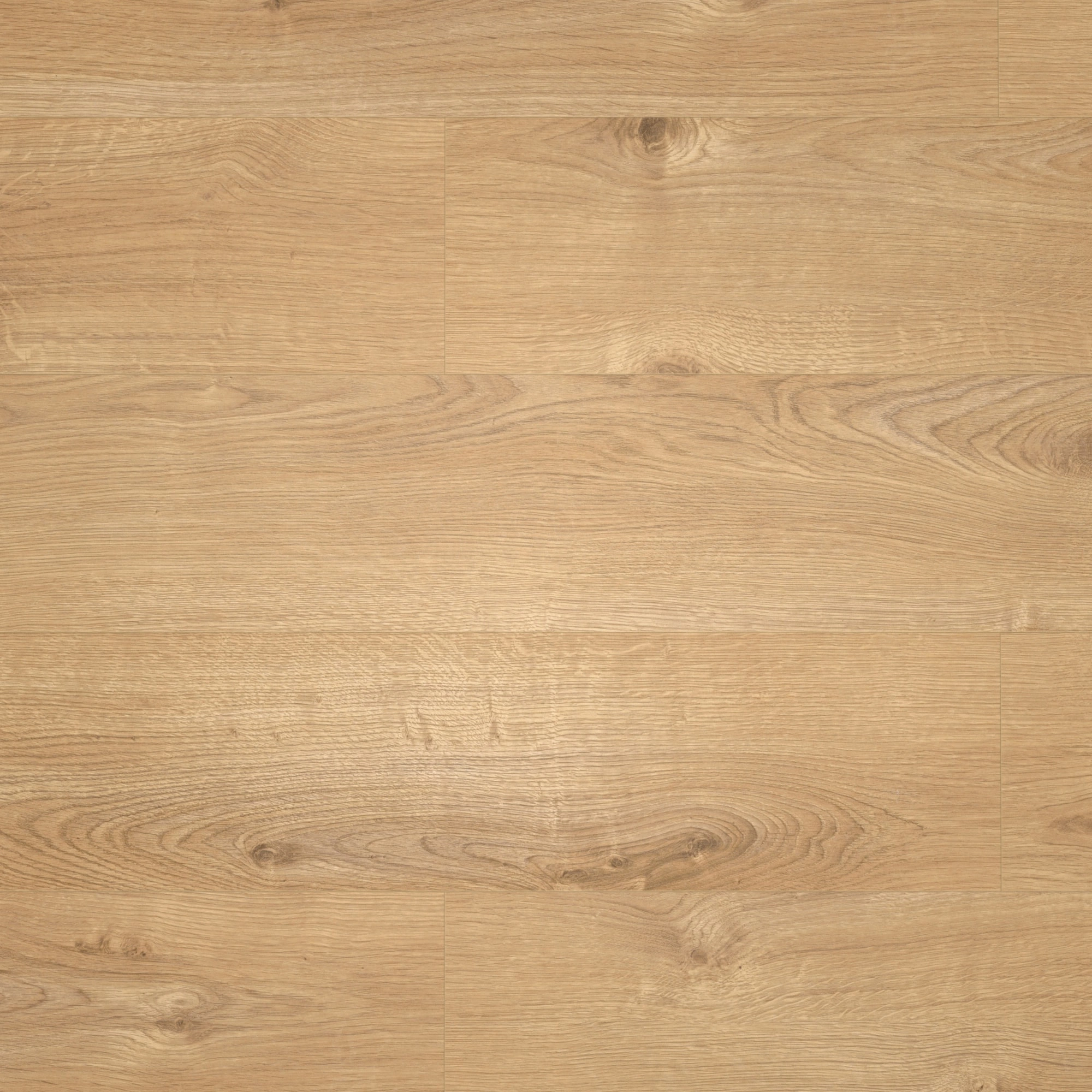 Draufsicht - MEISTER Laminat LD 55 Villa Oak Draufsicht - MEISTER 600015-1288198-07016