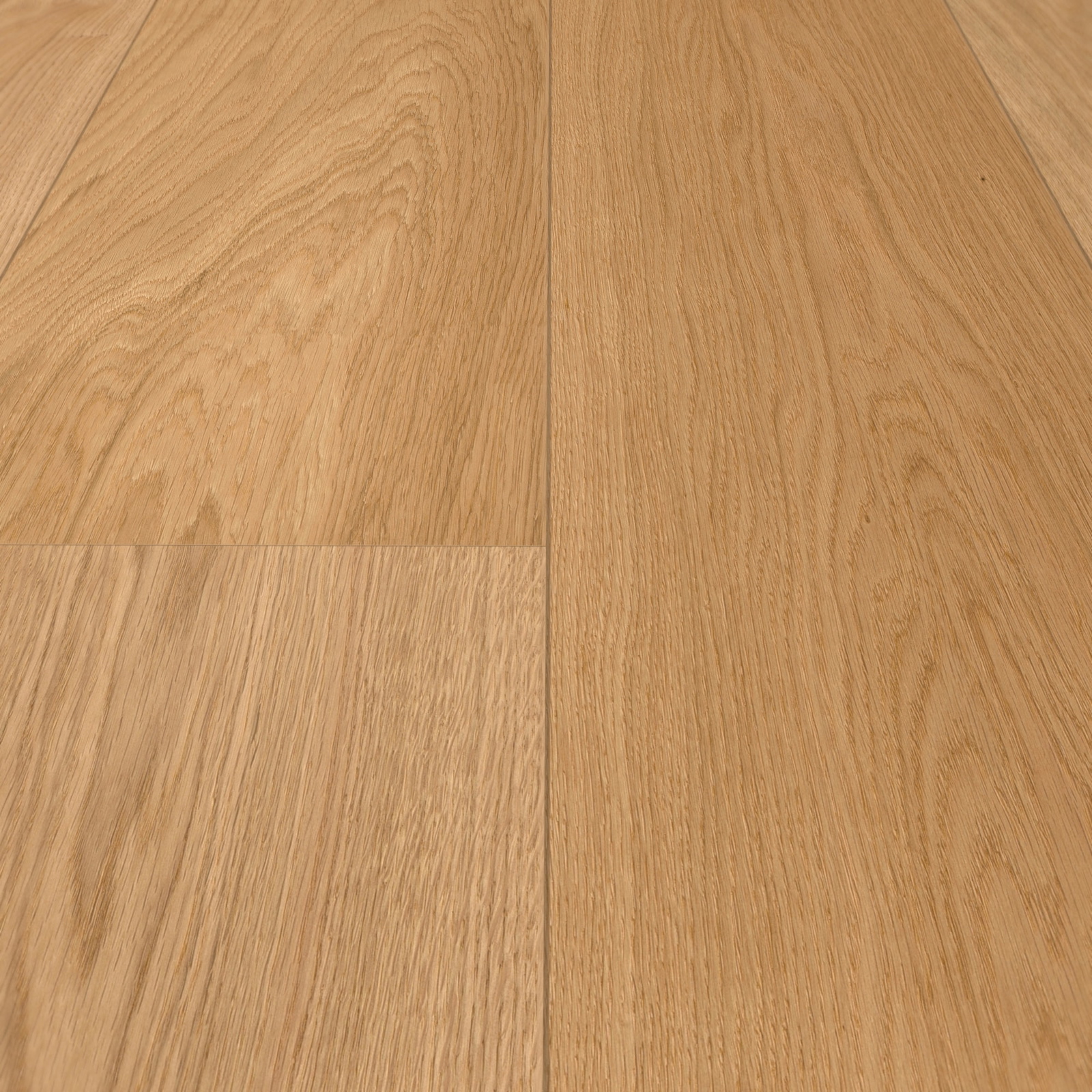 Detail Ansicht - MEISTER 500214-2200270-08913