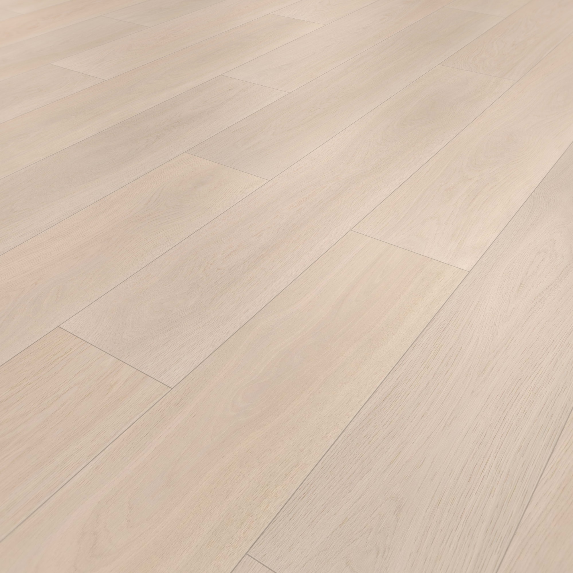 Perspektivische Ansicht - wineo Klebe-Bioboden PURLINE wineo 1000 wood XL Calm Oak Bright Perspektivische Ansicht - wineo PL305R