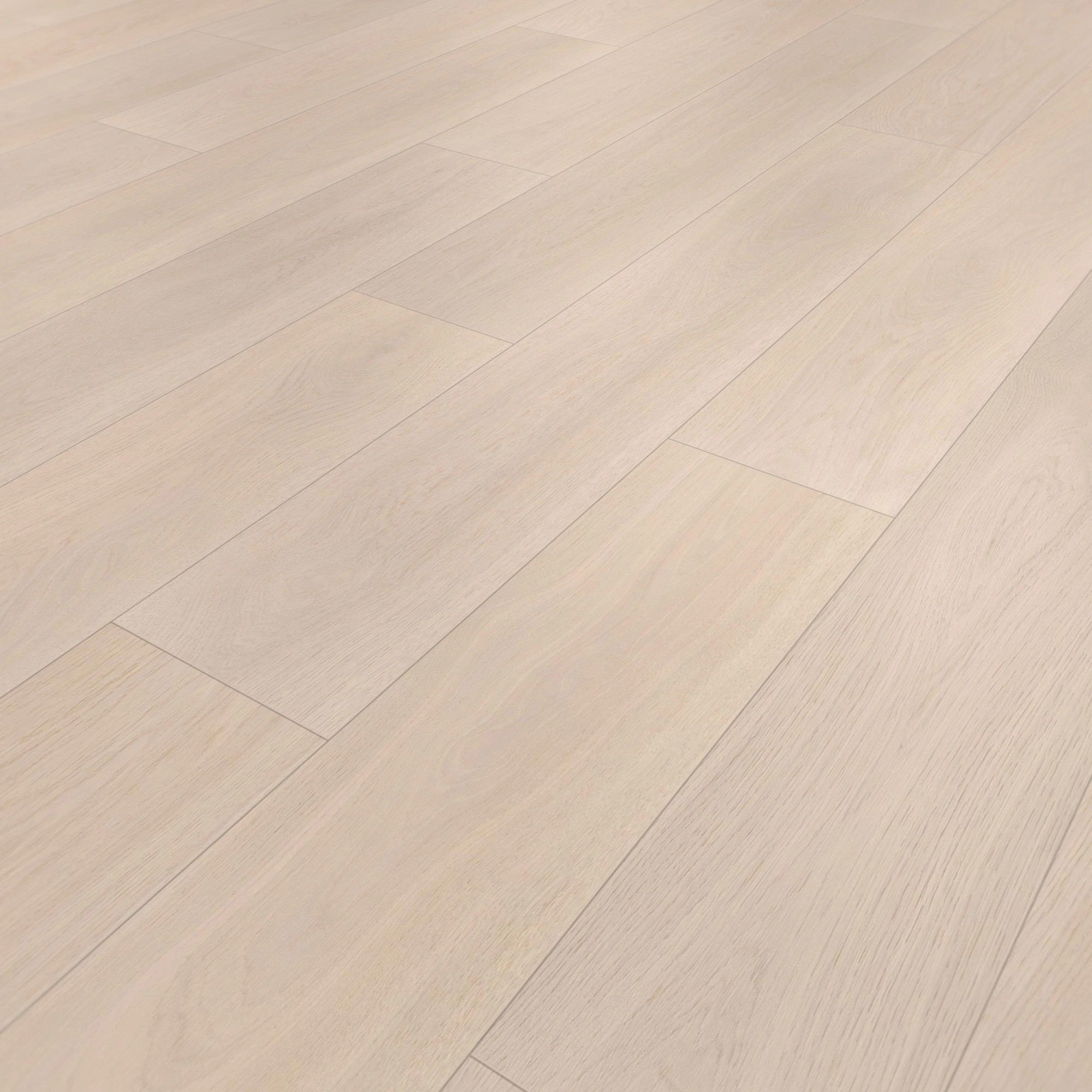 Perspektivische Ansicht - wineo Klebe-Bioboden PURLINE wineo 1000 wood XL Calm Oak Bright Perspektivische Ansicht - wineo PL305R
