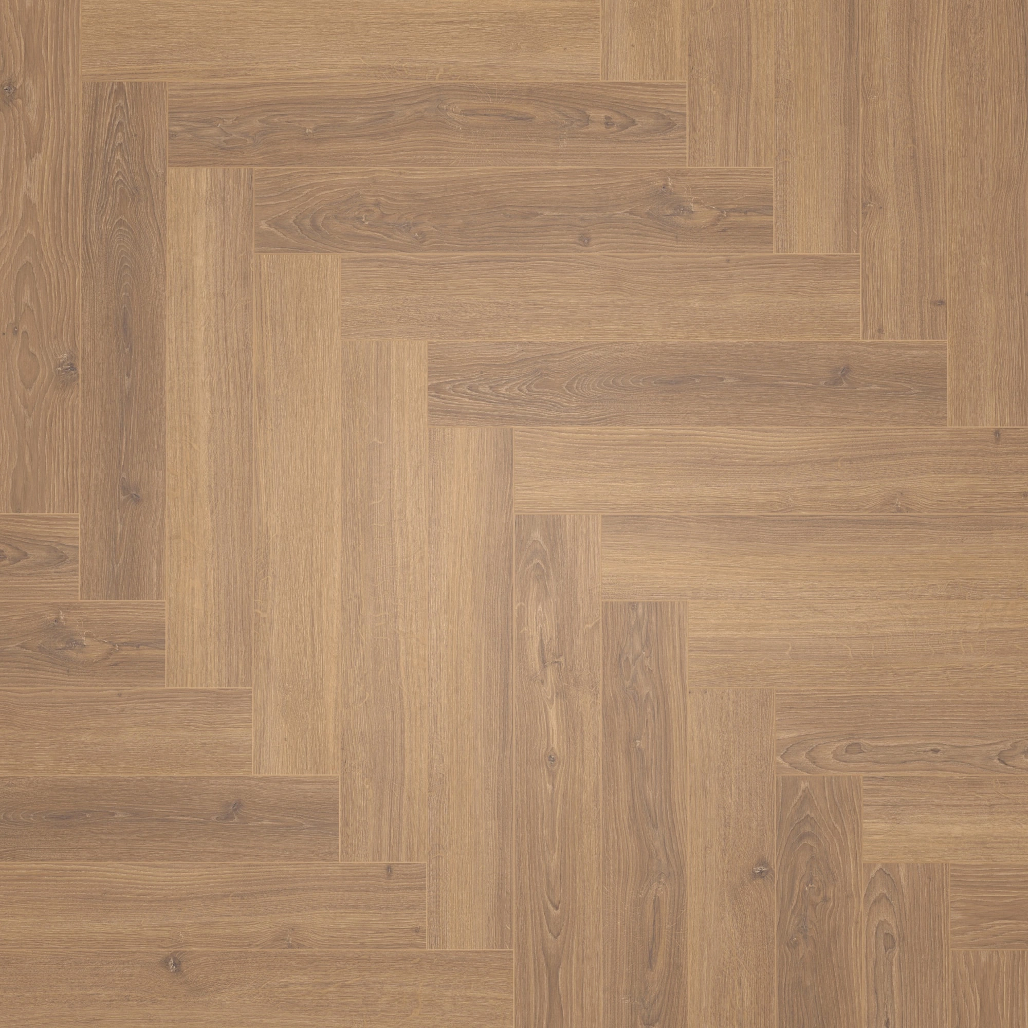 Draufsicht - Parador Laminat Trendtime 3 Eiche Studioline honig Draufsicht - Parador 1747864