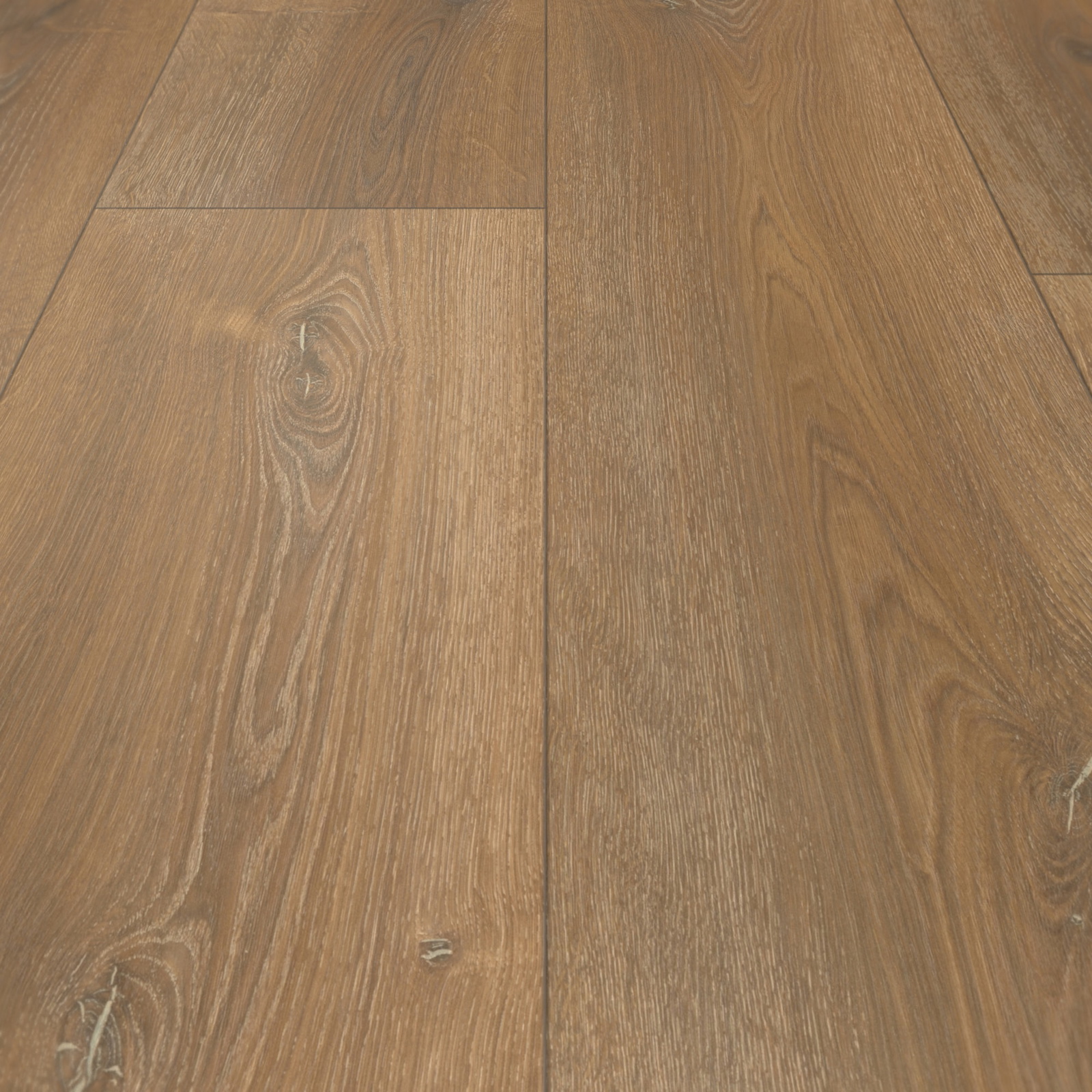 Parador Laminat Basic 600 Eiche Montana Gekälkt Synchronstruktur Landhausdiele