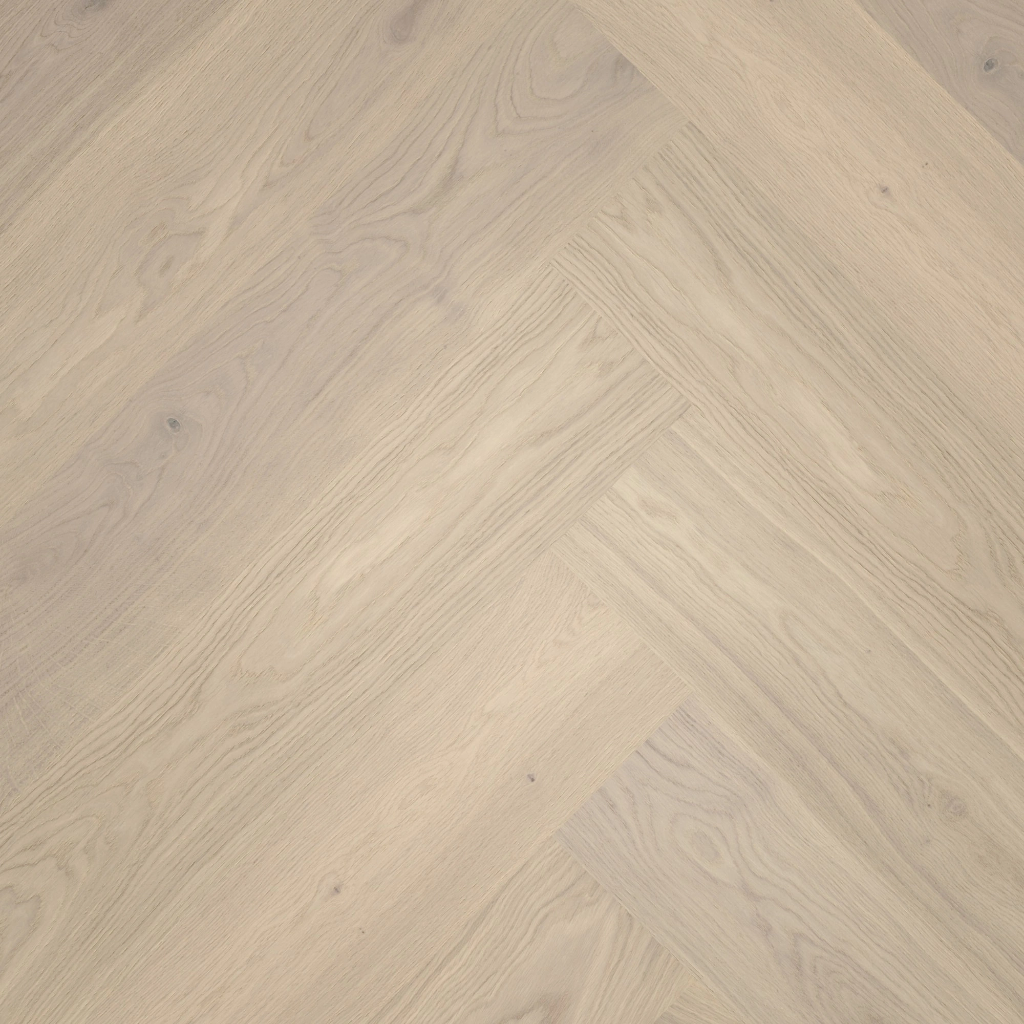 Draufsicht - ter Hürne Parkett Herringbone Collection Eiche Helgoland Draufsicht - ter Hürne 1101312519