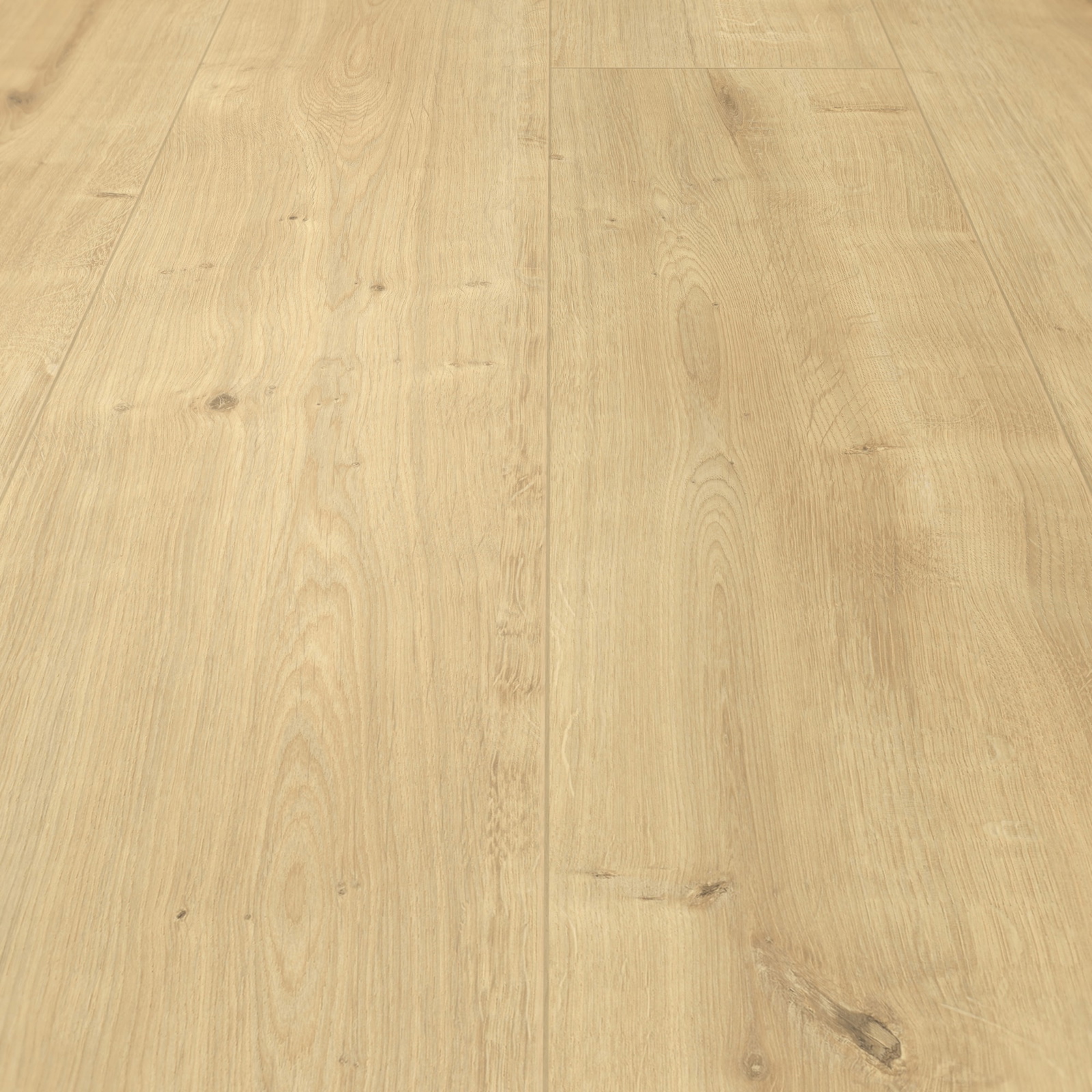 Detail Ansicht - MEISTER 400054-1287220-06891
