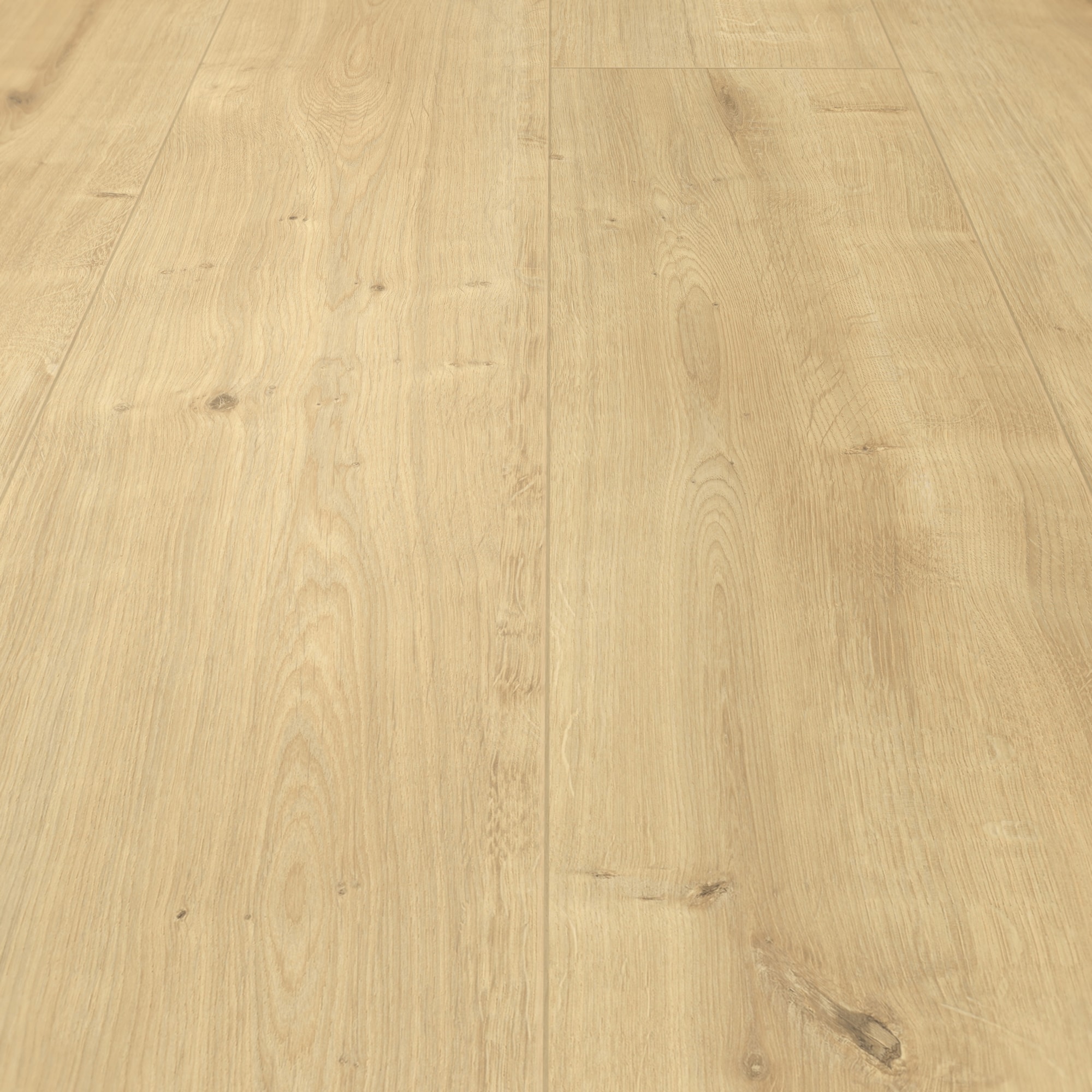 Detail Ansicht - MEISTER 400054-1287220-06891