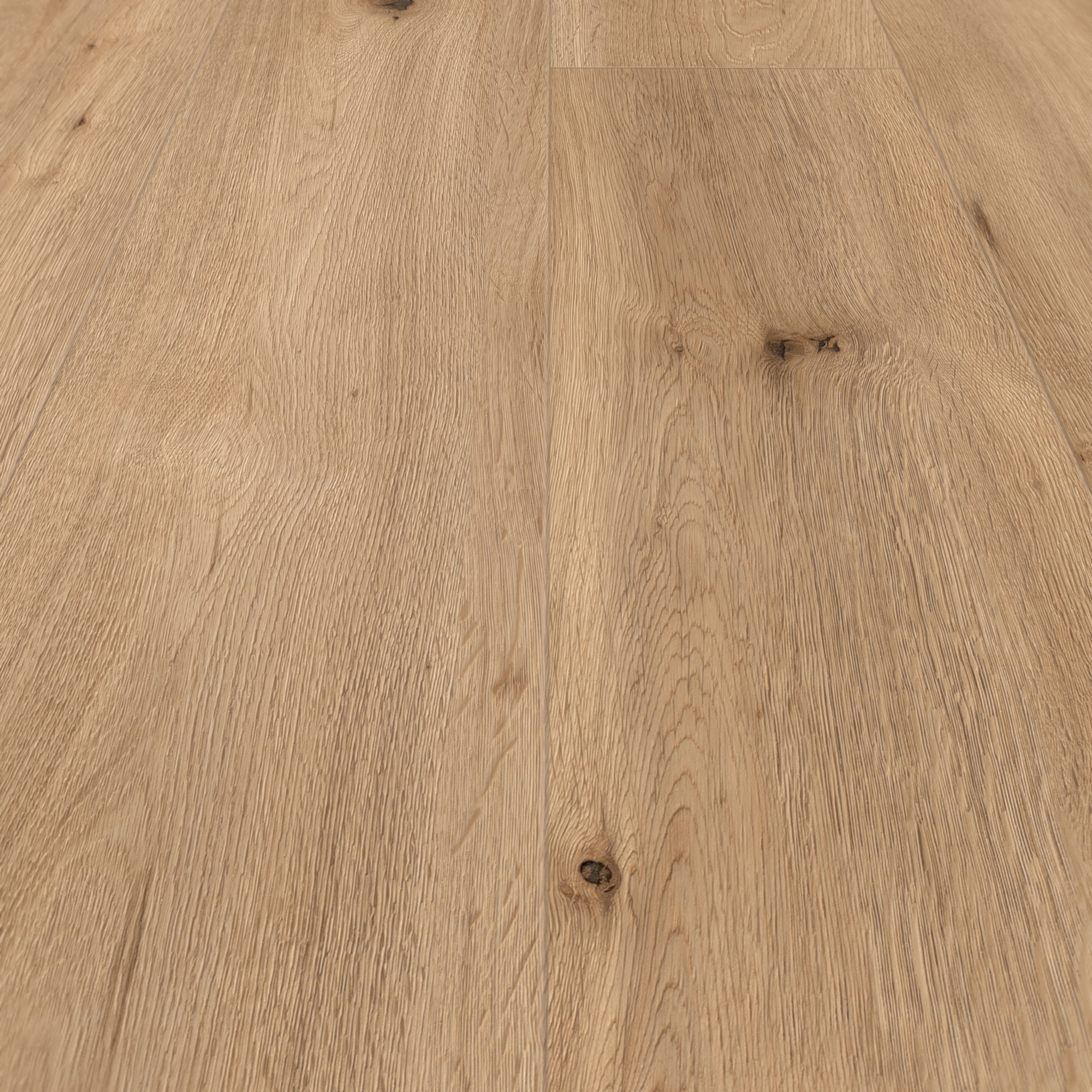 Detail Ansicht - MEISTER 400054-1287220-06843