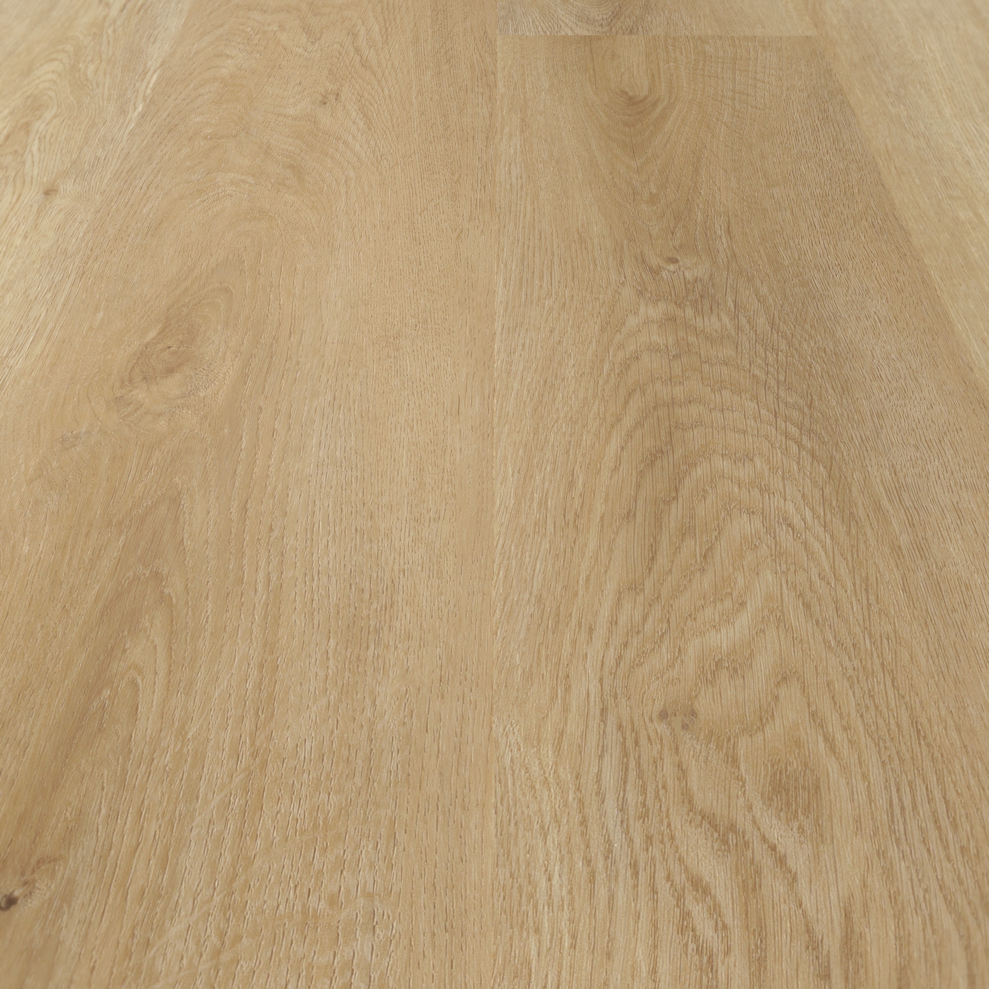 Detail Ansicht - nexflor Klebe-Vinyl Artemis Collection Elis Oak Detail Ansicht - nexflor NXF-70055-004