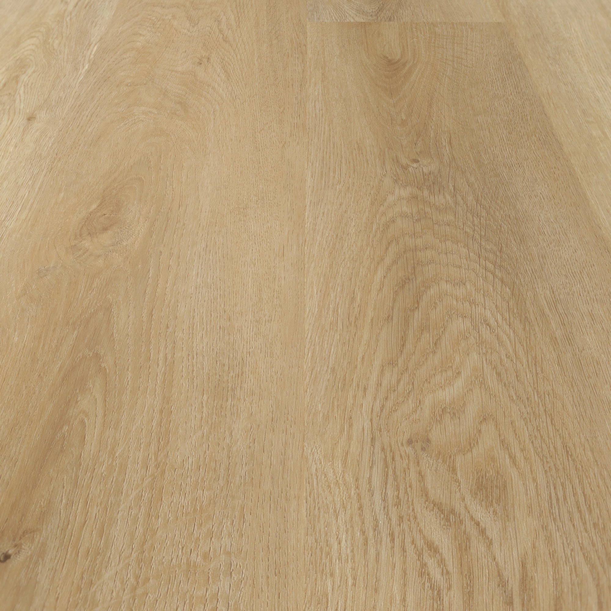 Detail Ansicht - nexflor Klebe-Vinyl Artemis Collection Elis Oak Detail Ansicht - nexflor NXF-70055-004