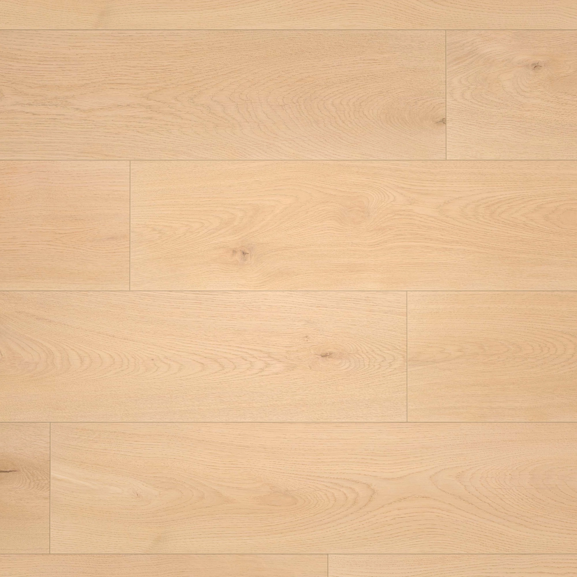 Draufsicht - wineo Klick-Bioboden PURLINE wineo 1000 wood XL Noble Oak Vanilla Draufsicht - wineo PLC310R