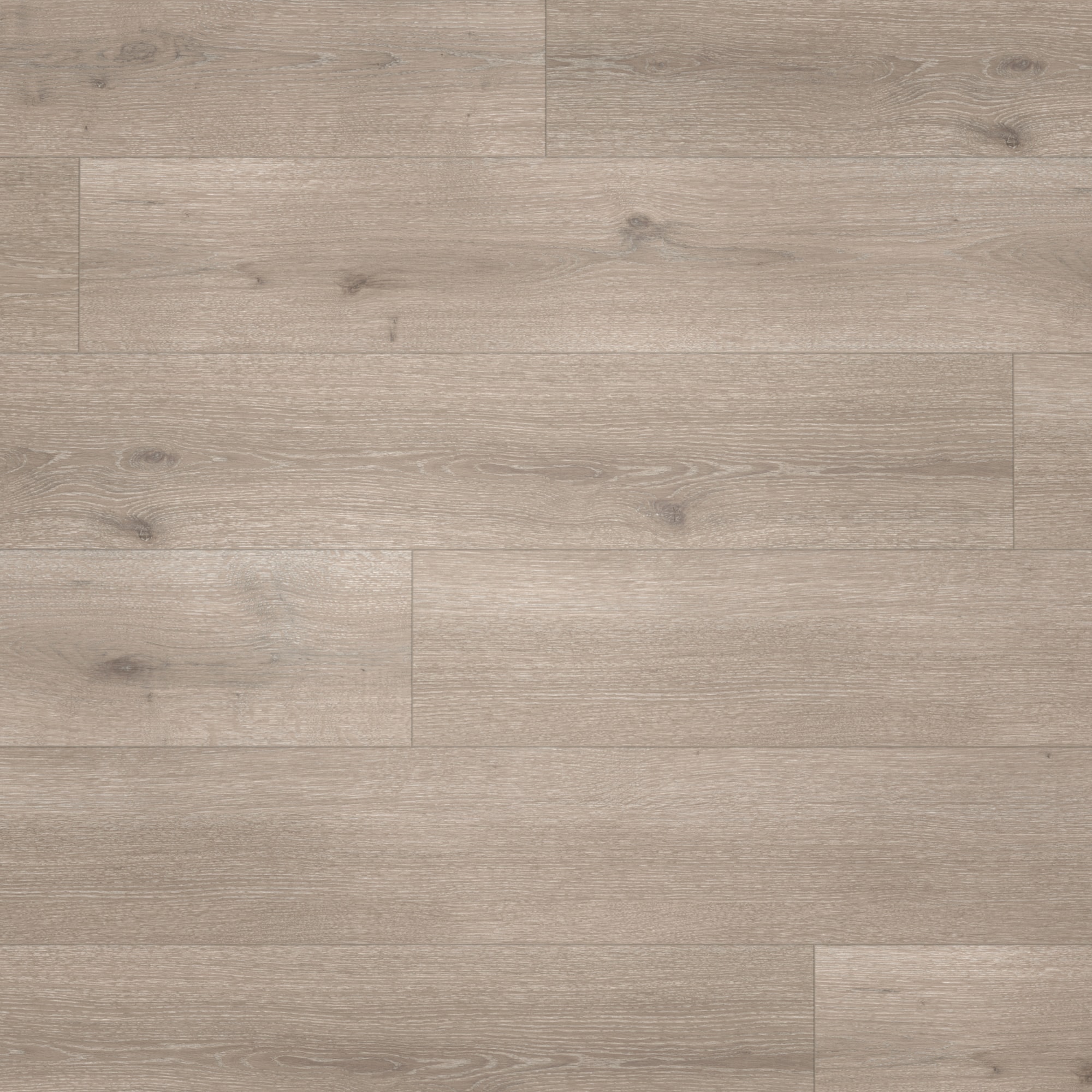 Parador Designboden Modular ONE Eiche Urban grau Holzstruktur Parador Designboden Modular ONE Eiche Urban grau Holzstruktur