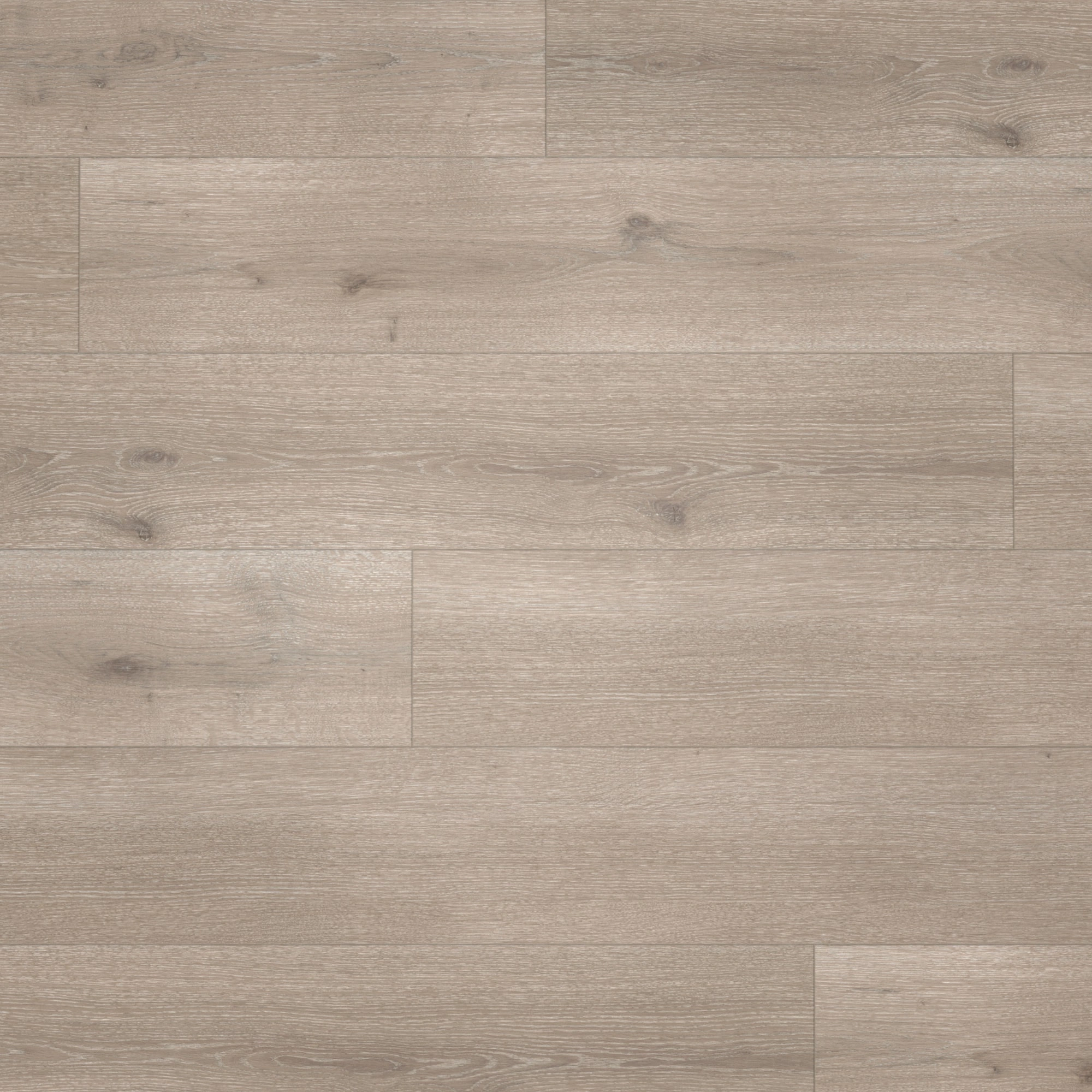 Parador Designboden Modular ONE Eiche Urban grau Holzstruktur Parador Designboden Modular ONE Eiche Urban grau Holzstruktur