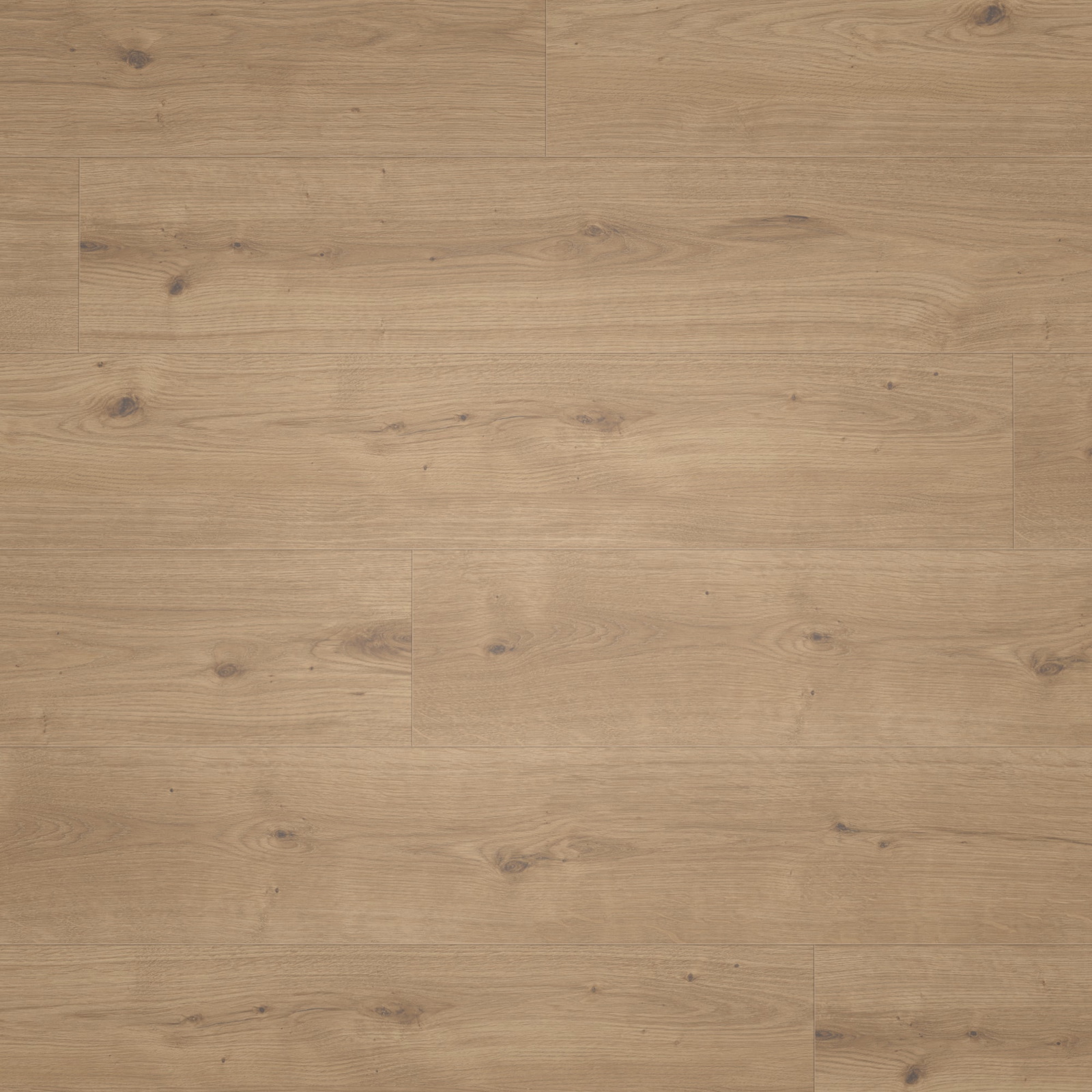 Parador HDF Klick-Designboden Modular ONE Eiche Atmosphere umbra Authentische Struktur mit Synchronstruktur Landhausdiele