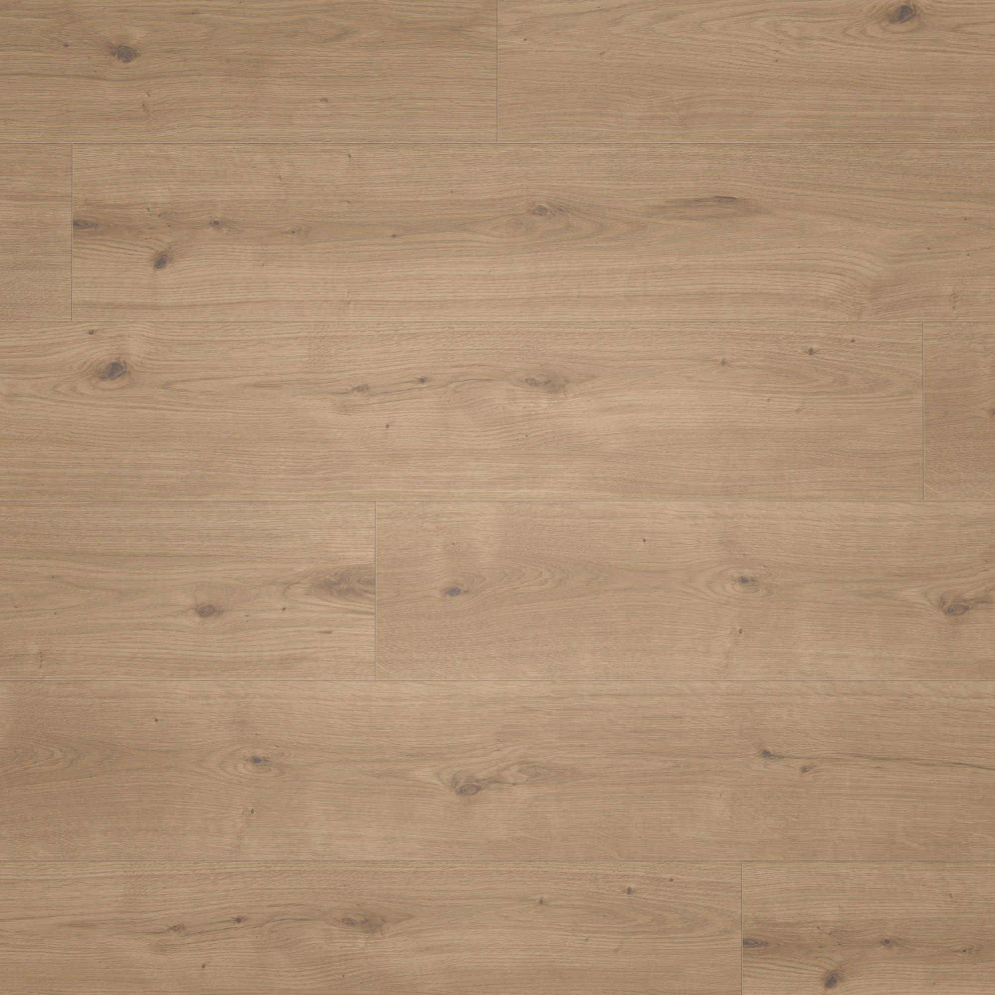Parador HDF Klick-Designboden Modular ONE Eiche Atmosphere umbra Authentische Struktur mit Synchronstruktur Landhausdiele Parador HDF Klick-Designboden Modular ONE Eiche Atmosphere umbra Authentische Struktur mit Synchronstruktur Landhausdiele