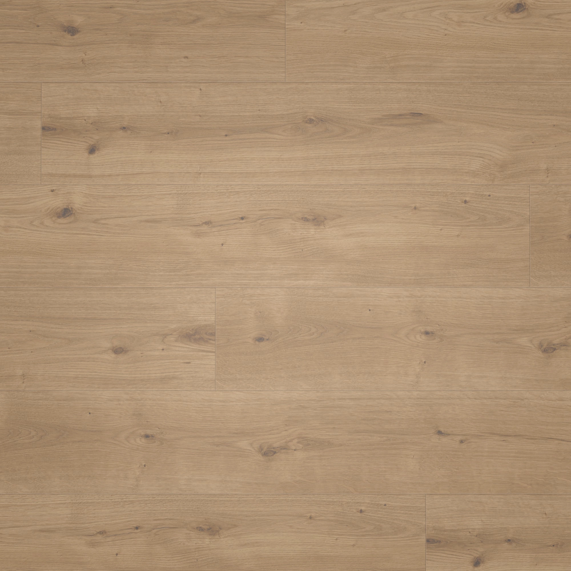 Parador HDF Klick-Designboden Modular ONE Eiche Atmosphere umbra Authentische Struktur mit Synchronstruktur Landhausdiele Parador HDF Klick-Designboden Modular ONE Eiche Atmosphere umbra Authentische Struktur mit Synchronstruktur Landhausdiele