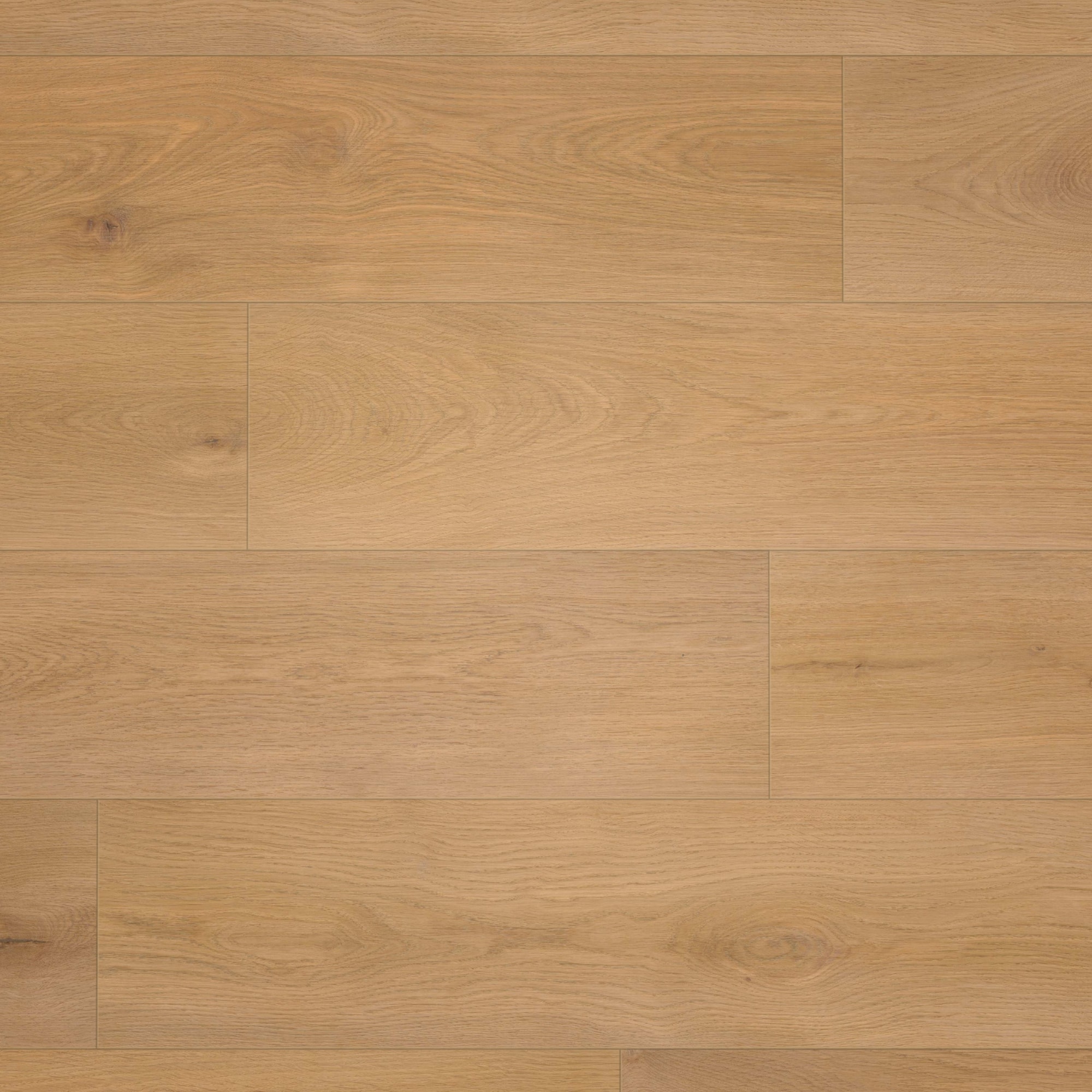 Draufsicht - wineo Klebe-Bioboden PURLINE wineo 1000 wood XL Noble Oak Toffee Draufsicht - wineo PL311R