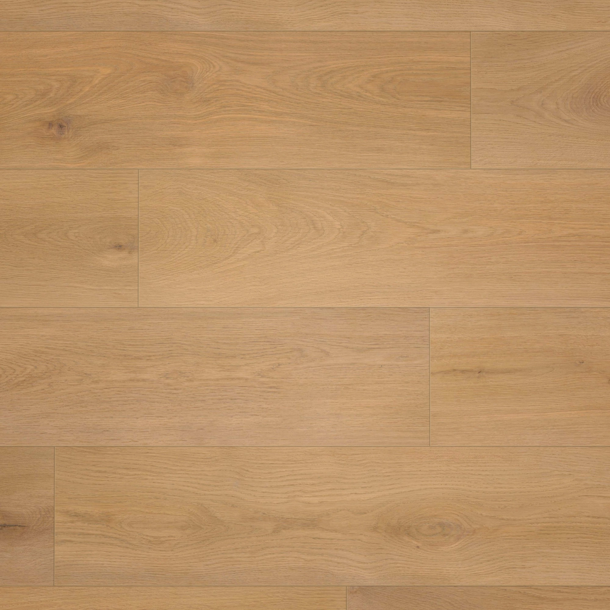 Draufsicht - wineo Klebe-Bioboden PURLINE wineo 1000 wood XL Noble Oak Toffee Draufsicht - wineo PL311R