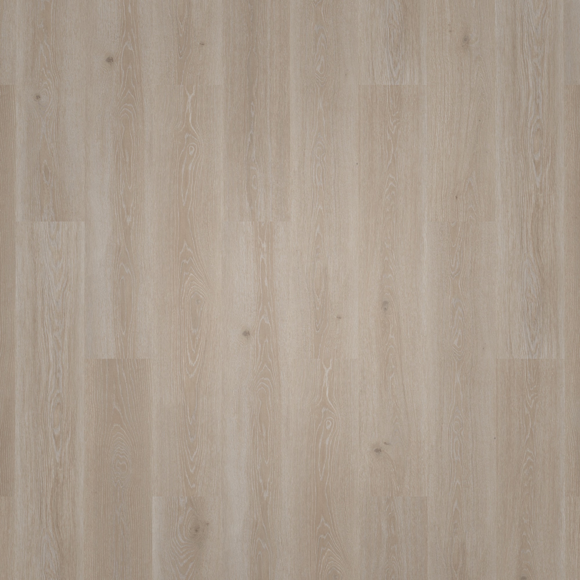 Draufsicht - Tarkett Klebe-Vinyl Essence 30 Tribe Oak Grey Draufsicht - Tarkett 260055008